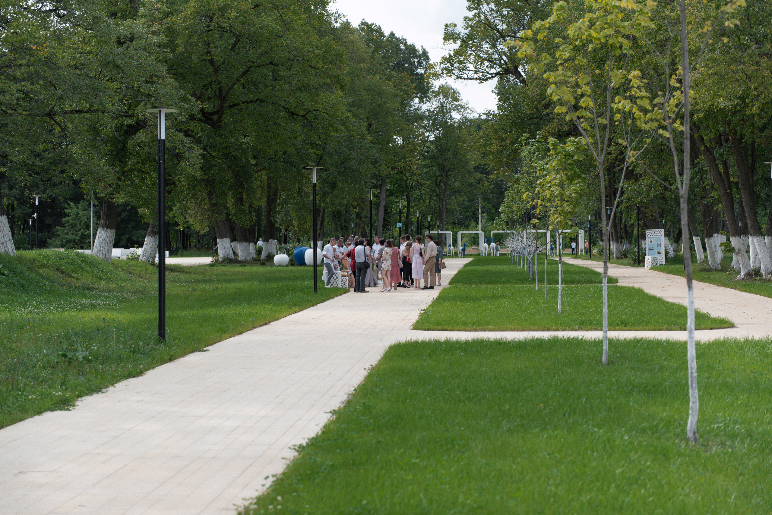 Свадьба Андрея и Алины. Свадебный и семейный фотограф в Мценске Александр Ефименко