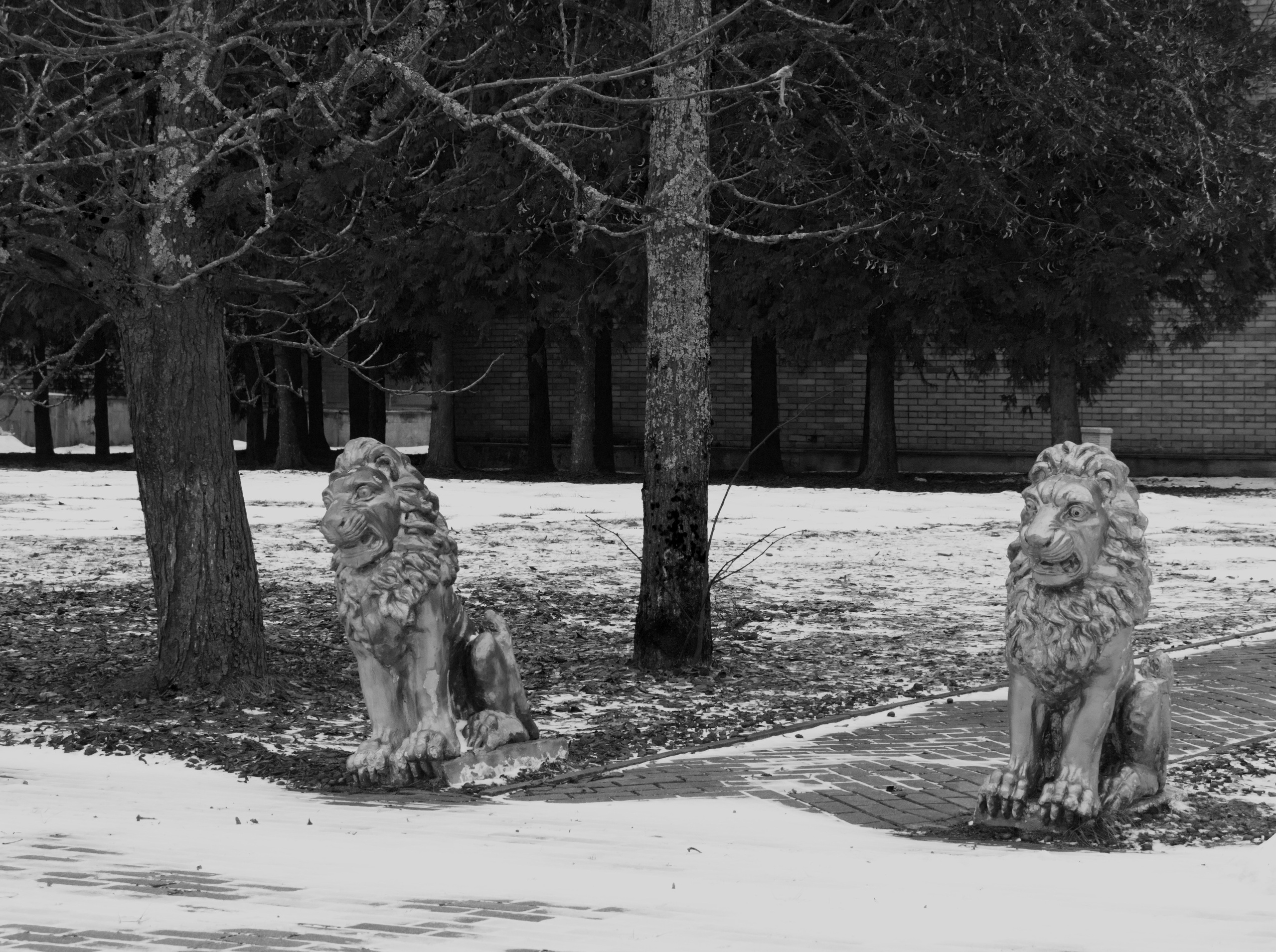 САНАТОРИЙ «МОЖАЙСКИЙ»