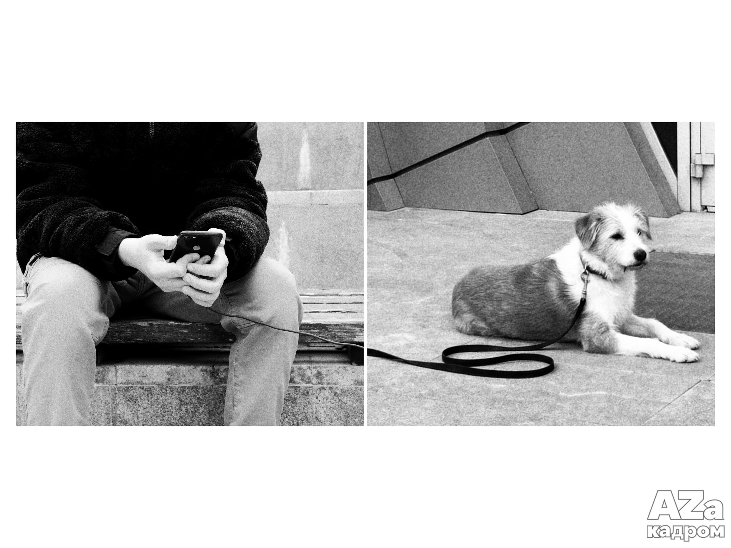 AZакадром «Фотофанты». Женский семейный фотограф Тула Москва Захарова Анна