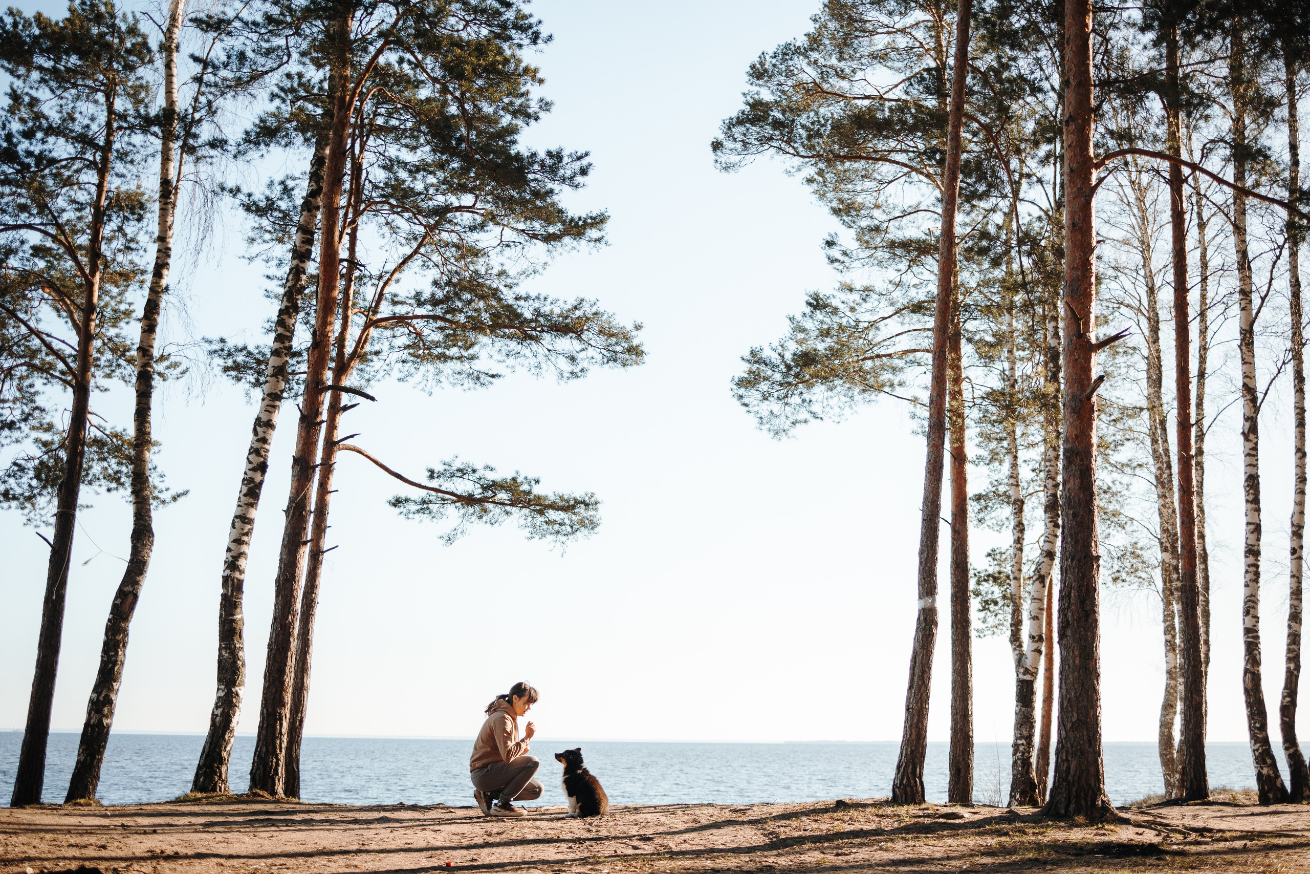 Ира и Шмель. Фотограф — Анималист | Санкт-Петербург