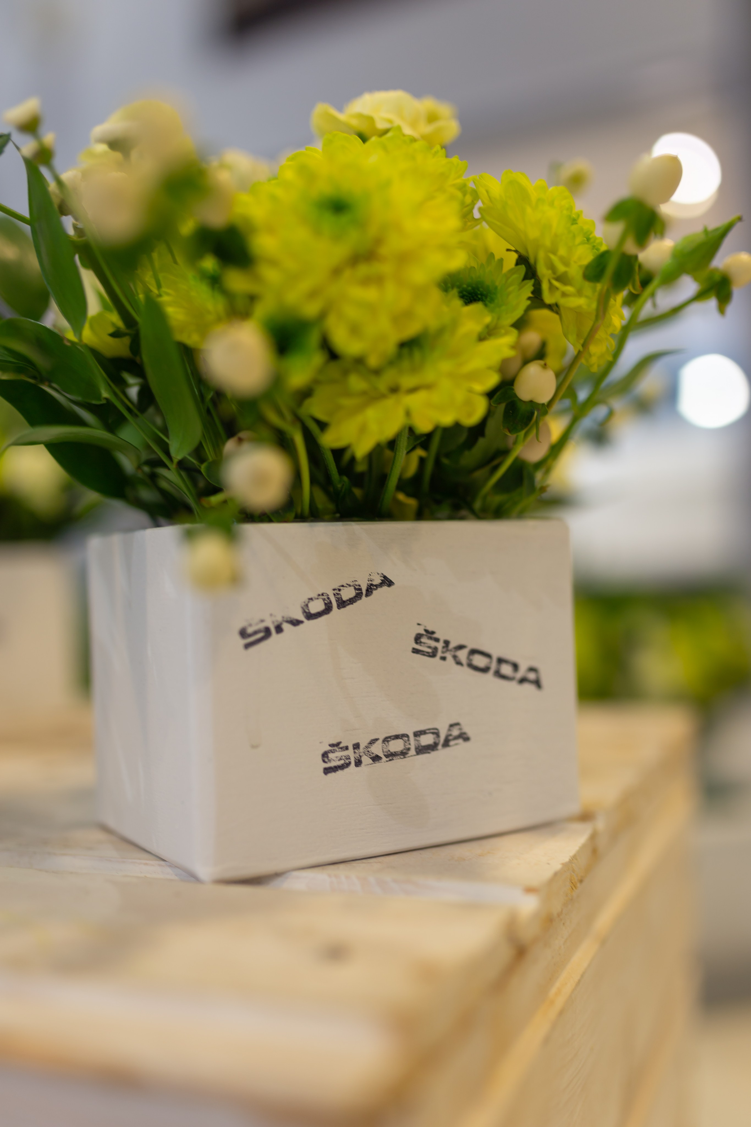 Презентация Škoda Karoq. Свадебный и Репортажный фотограф в Санкт-Петербурге