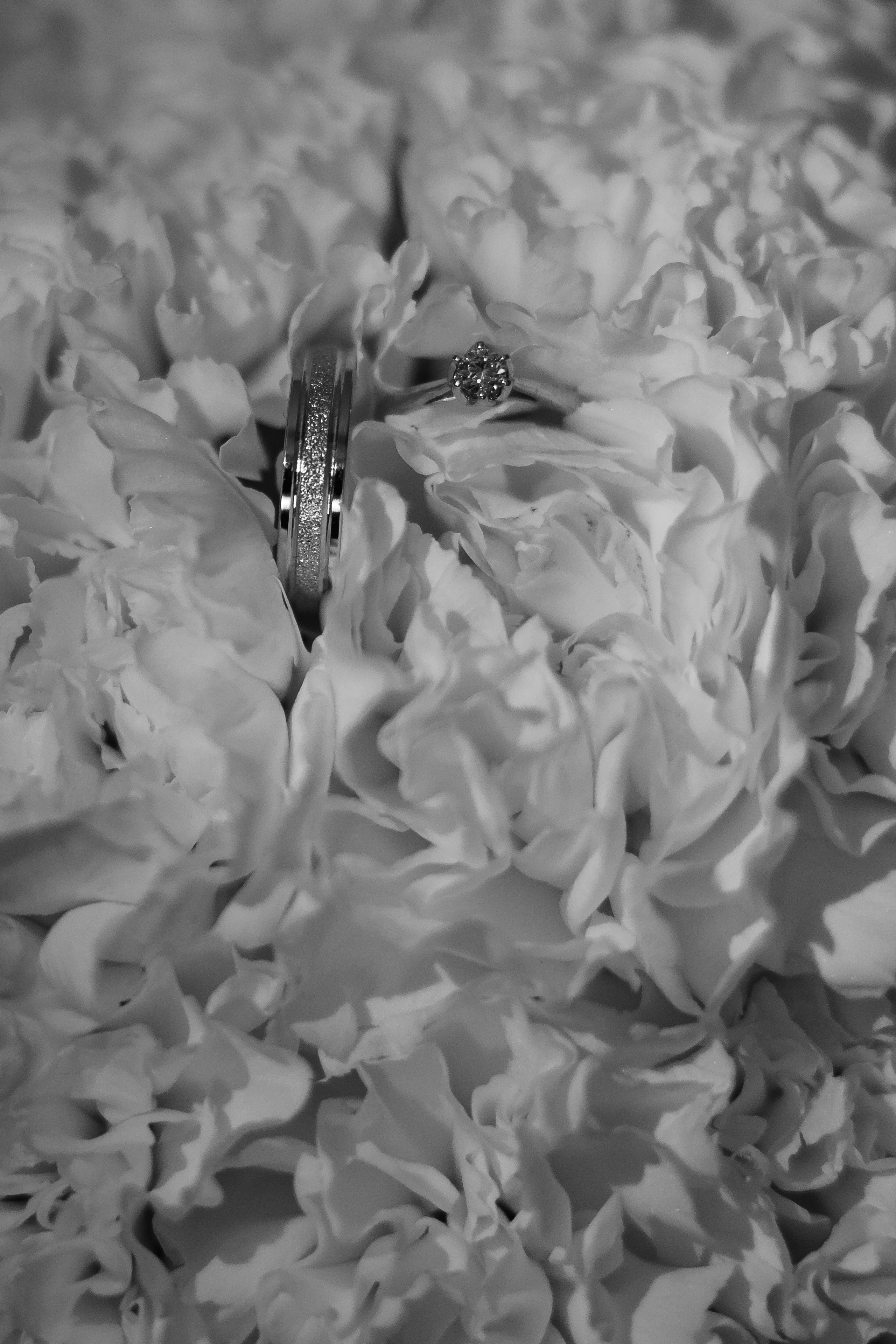 07.05.2024. RETOUCH-HOUSE