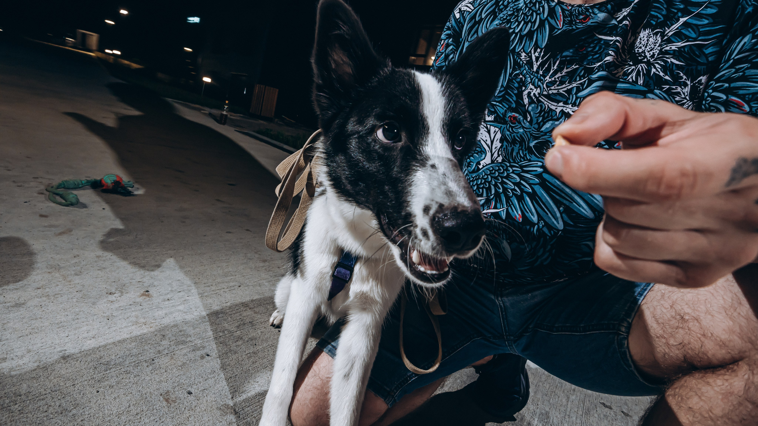 Юра. Фотограф в Благовещенске Андрей Сенченко