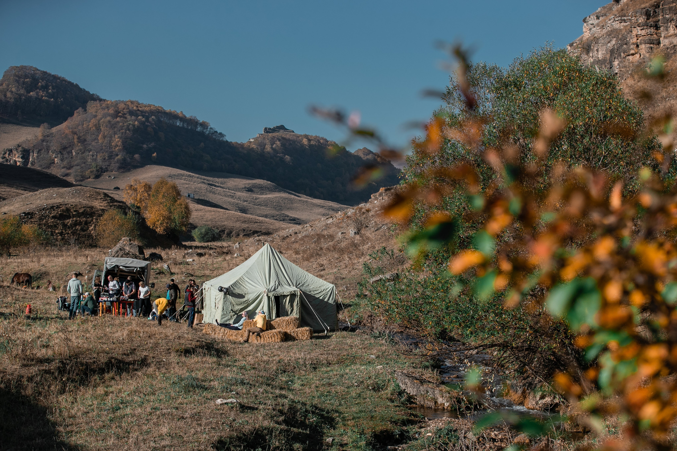 Фототуры в Карачаево-Черкессии 2019-2020. Фотограф-анималист Ксендзова Кристина