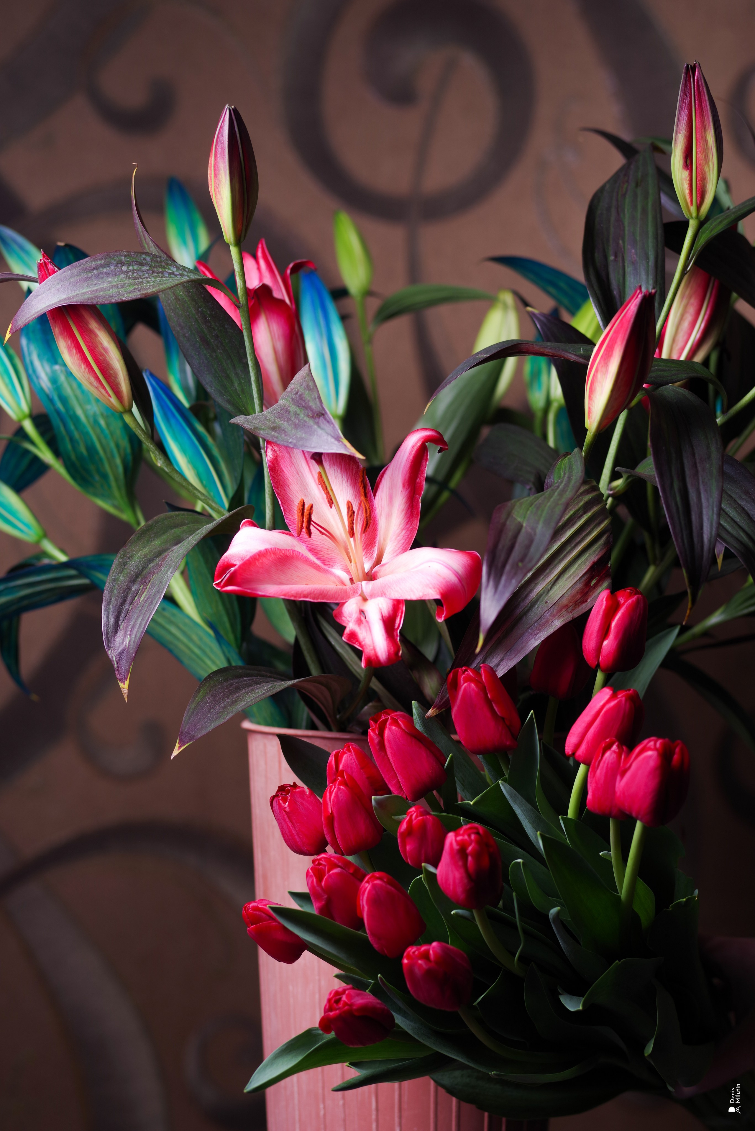 Салон цветов. Портретный фотограф Денис Милютин