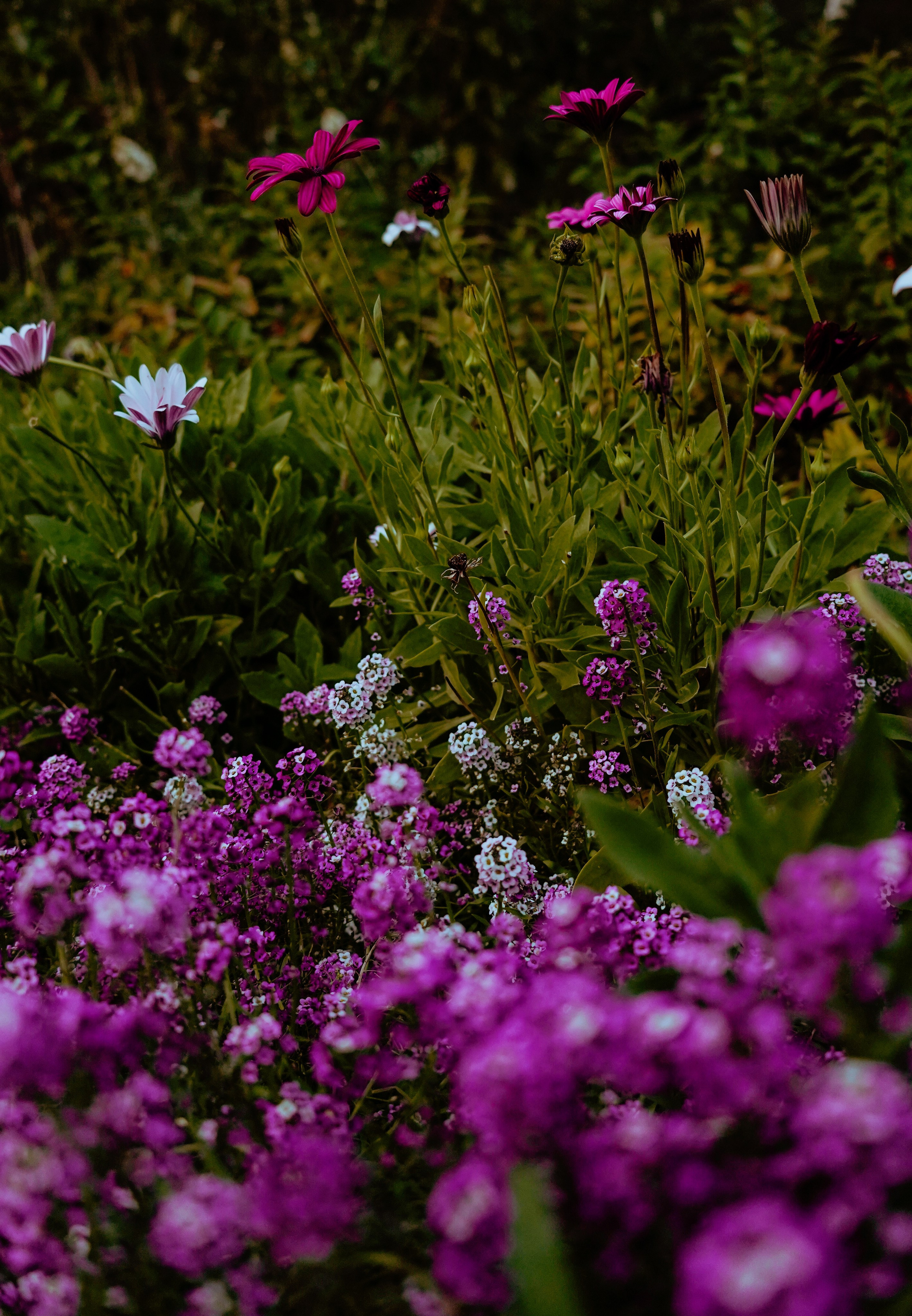 СЕРГЕЙ | БОТАНИЧЕСКИЙ САД ТБИЛИСИ. Photographer Barcelona