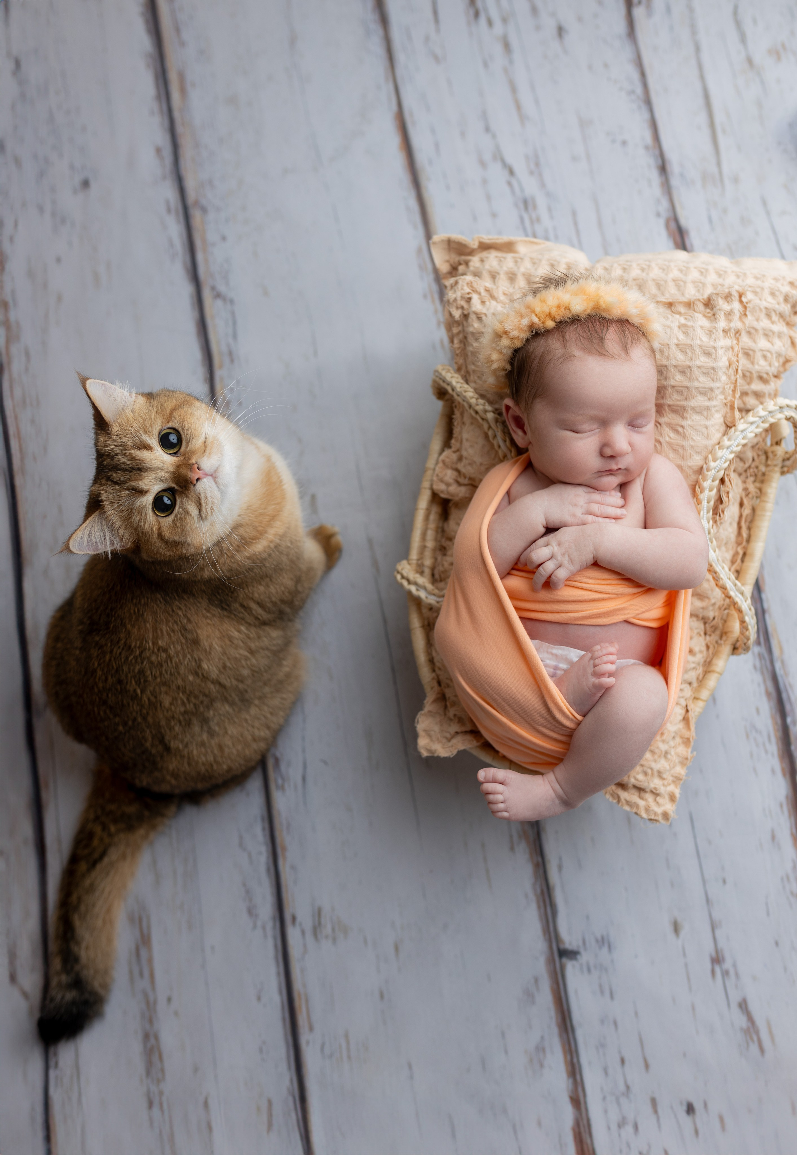 Девочки. Фотограф новорожденных и семей с детьми Севастополь