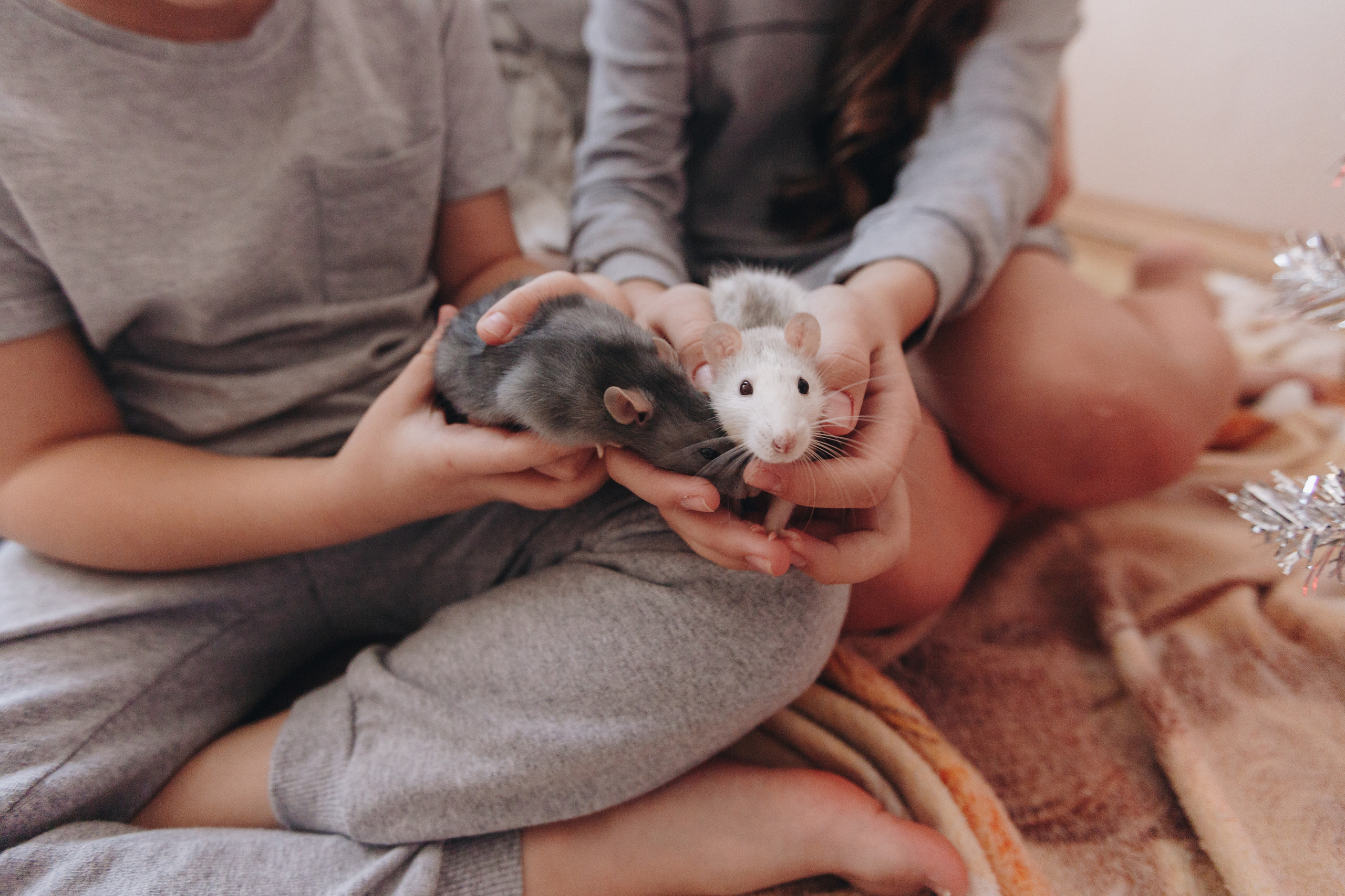 4. Свадебный семейный фотограф и видеограф Гомель Минск Беларусь Европа