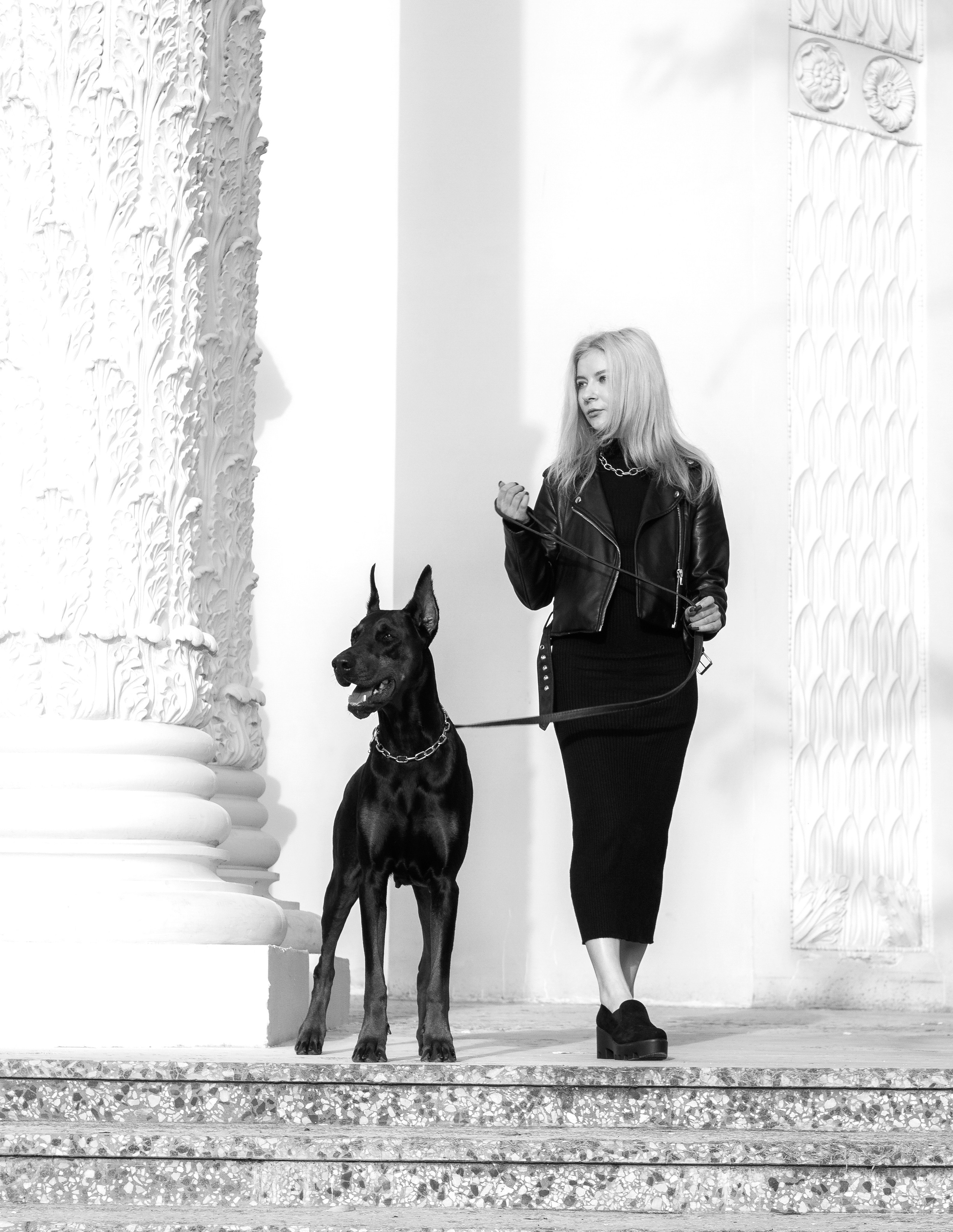 Съёмка с доберманом Москва, фотосессия с Доберманом, прогулочная фотосессия