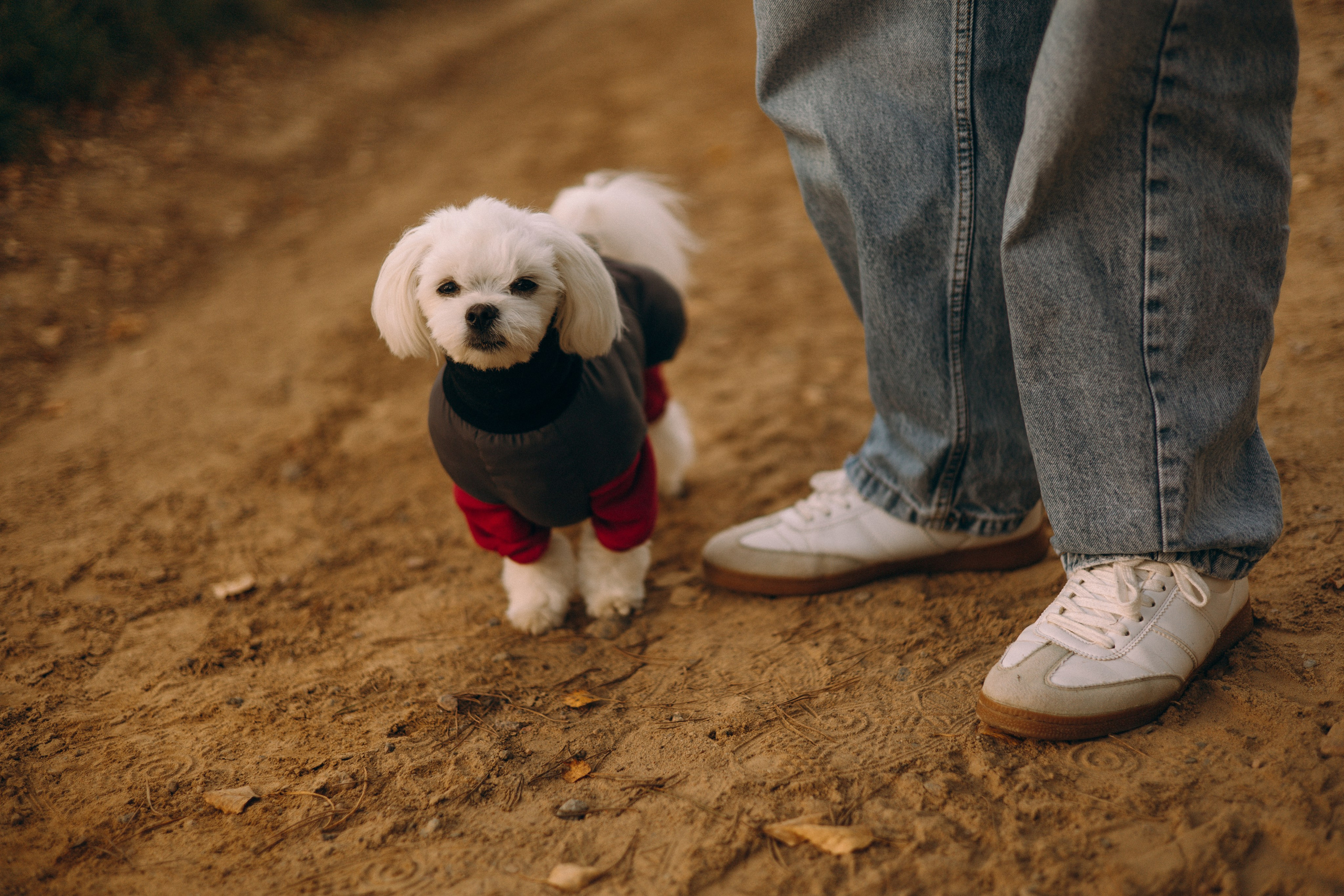 Любовь и Белла. Фотограф — анималист •love-story•|Санкт-Петербург