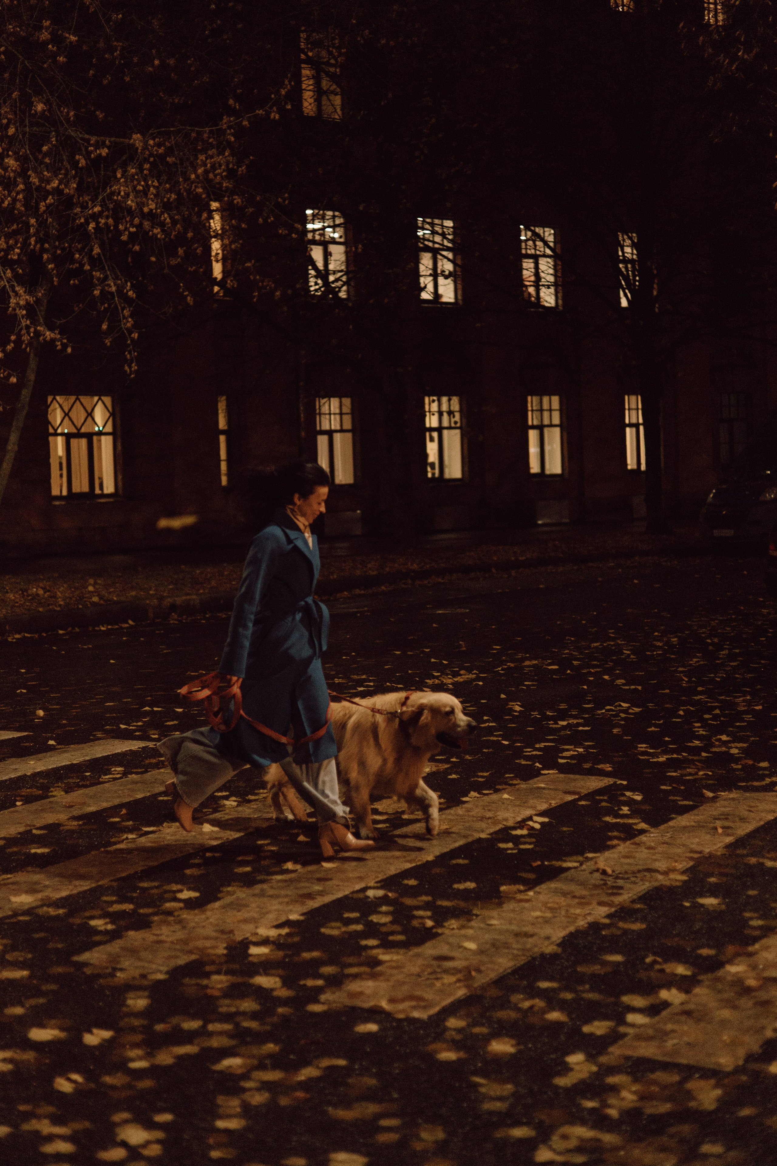 Лёва и его семья. Фотограф — анималист •love-story•|Санкт-Петербург