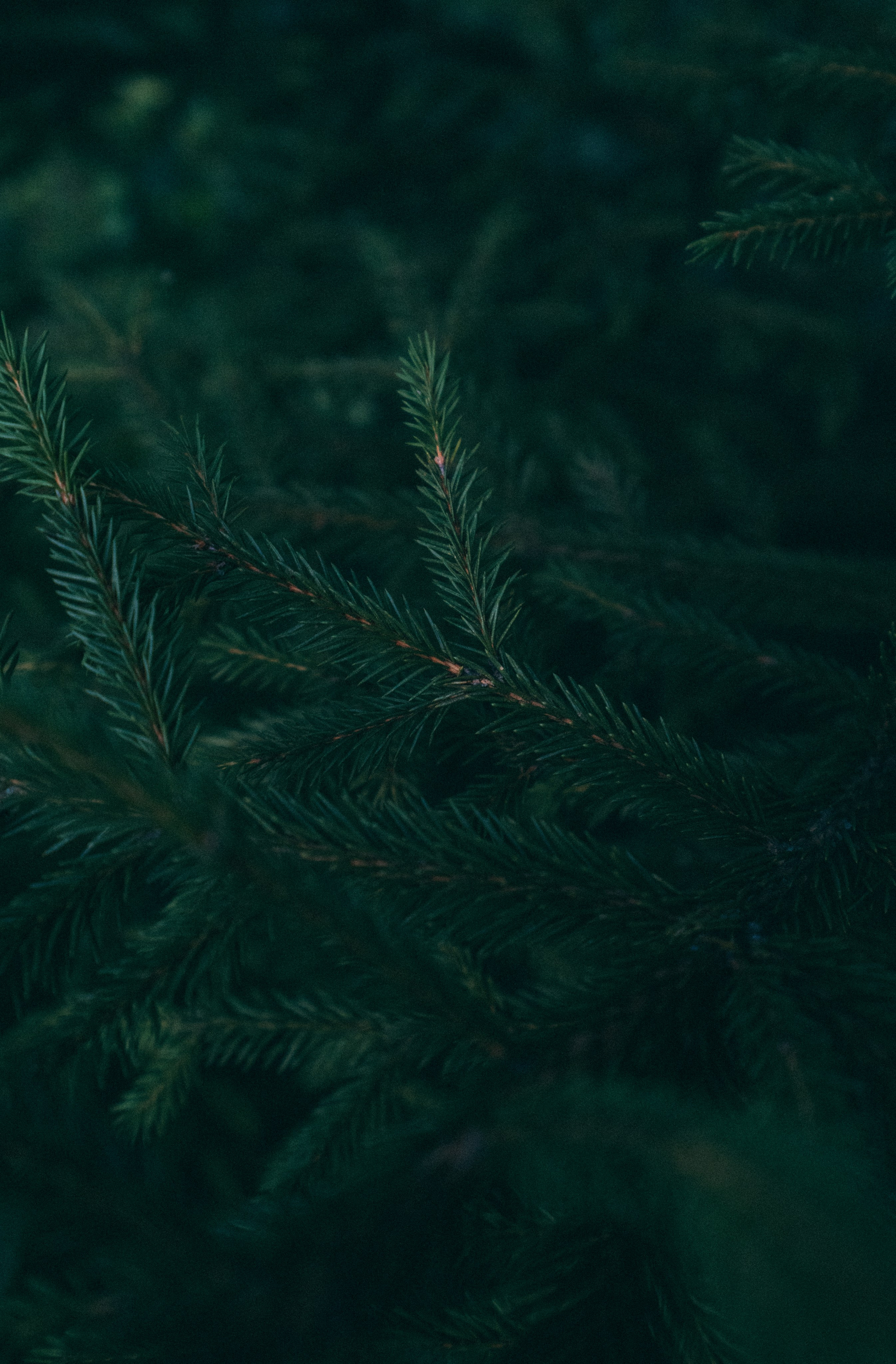 Белгород. Фотограф Алиса Аспер