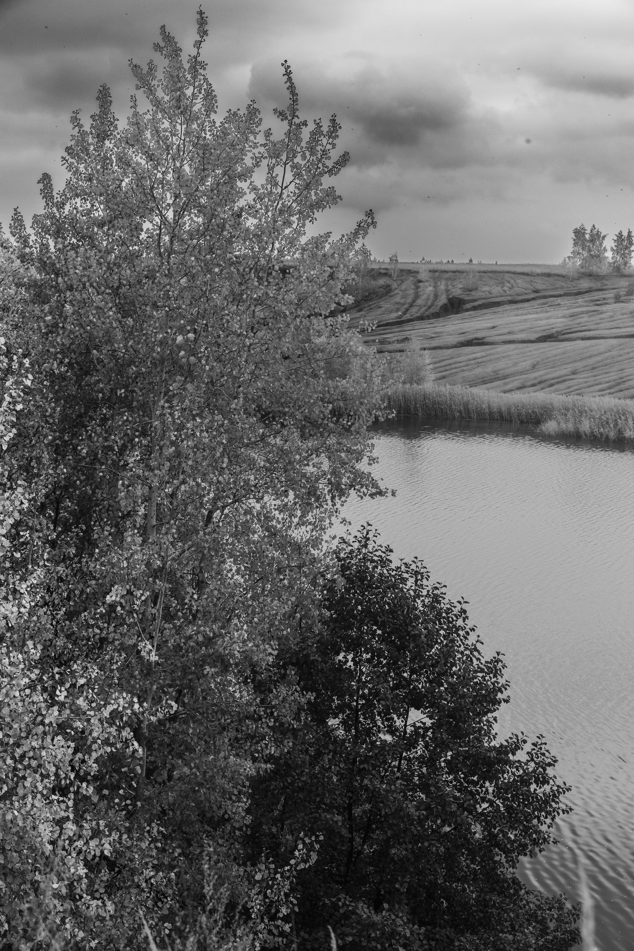 Кондуки. Октябрь 2023. Фотографии