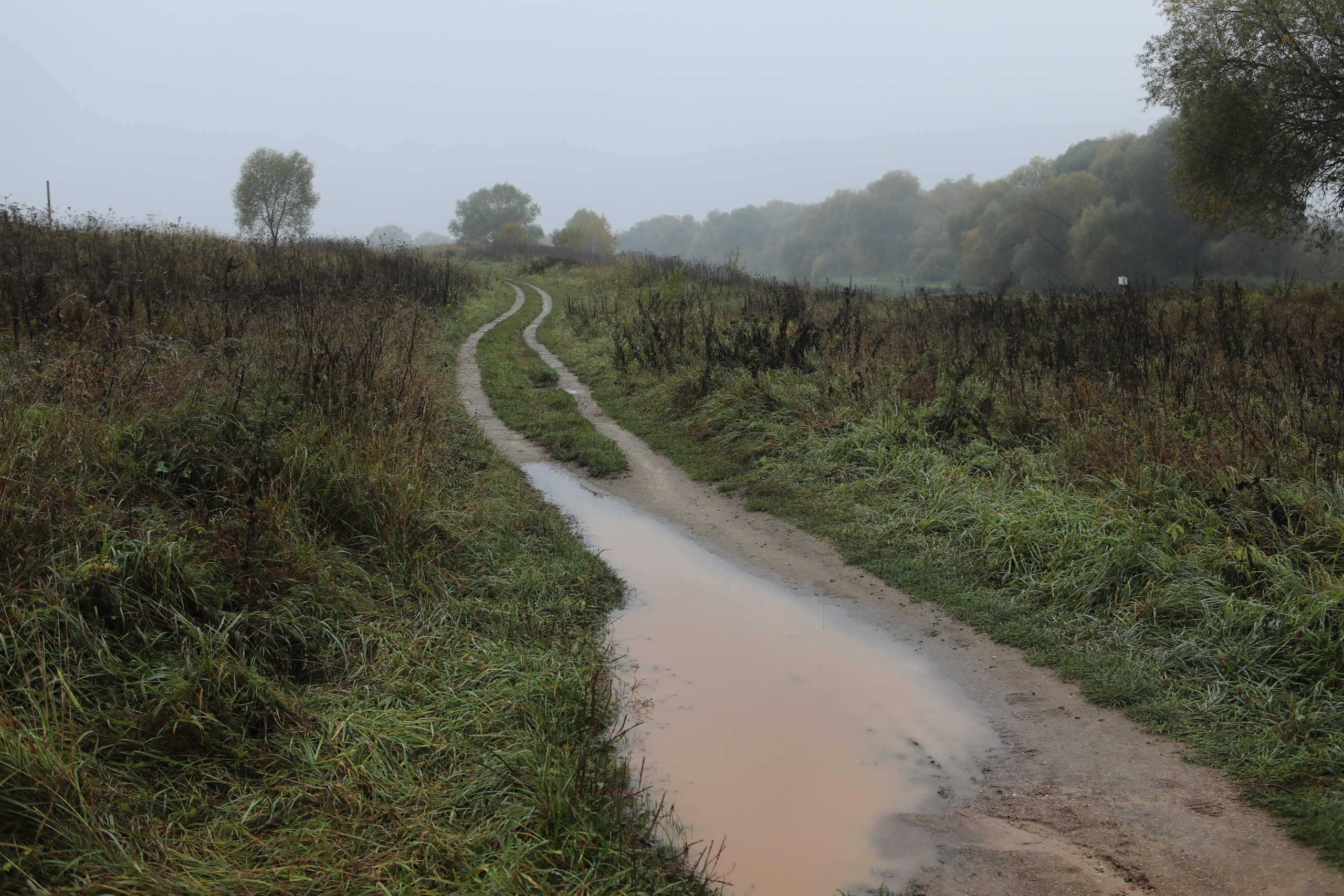 Пейзаж. Фотограф Наталья Туева FineArt съёмка