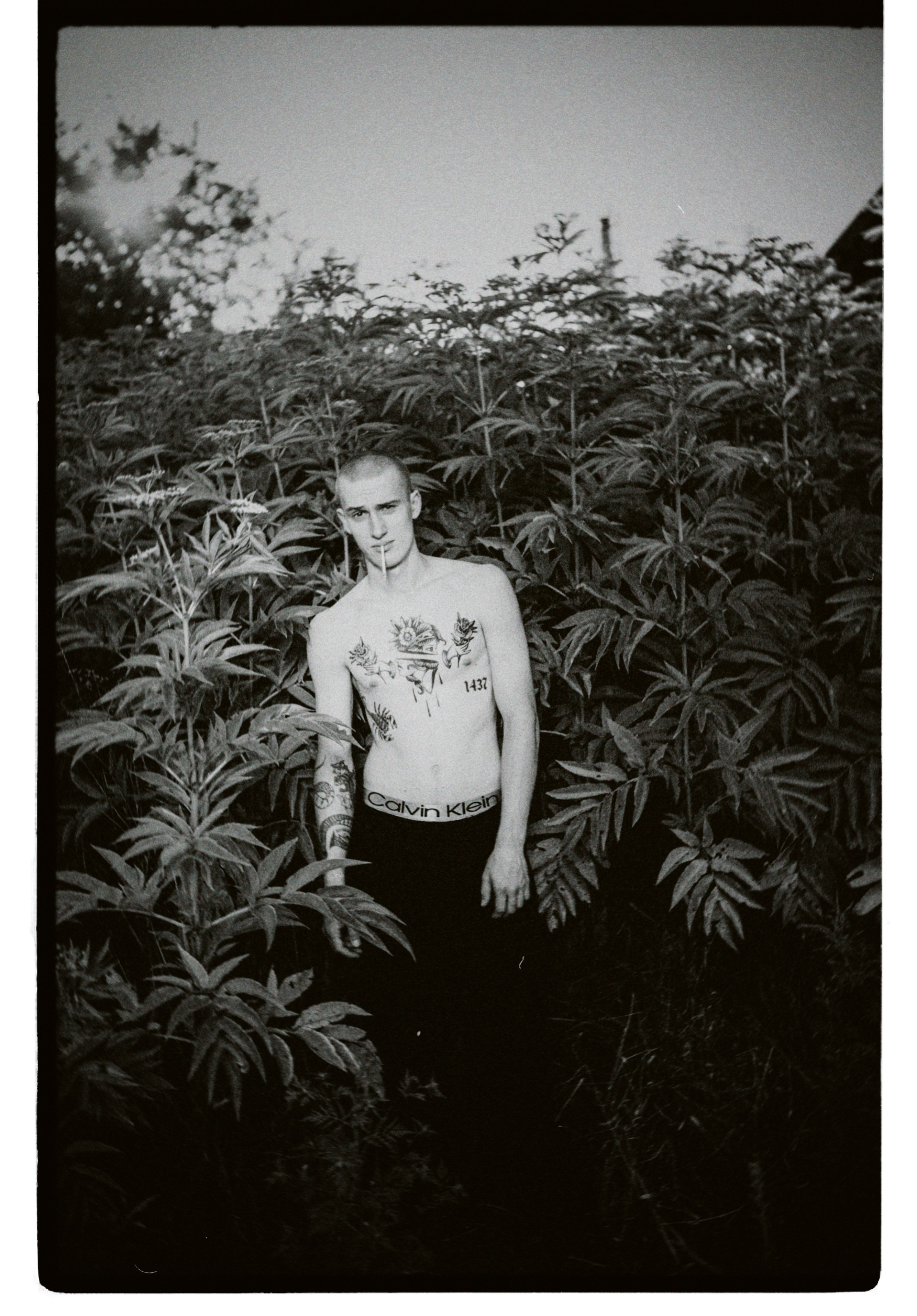 Лучшие кадры из фотостудии Майкопа — фотограф Мария Оводова