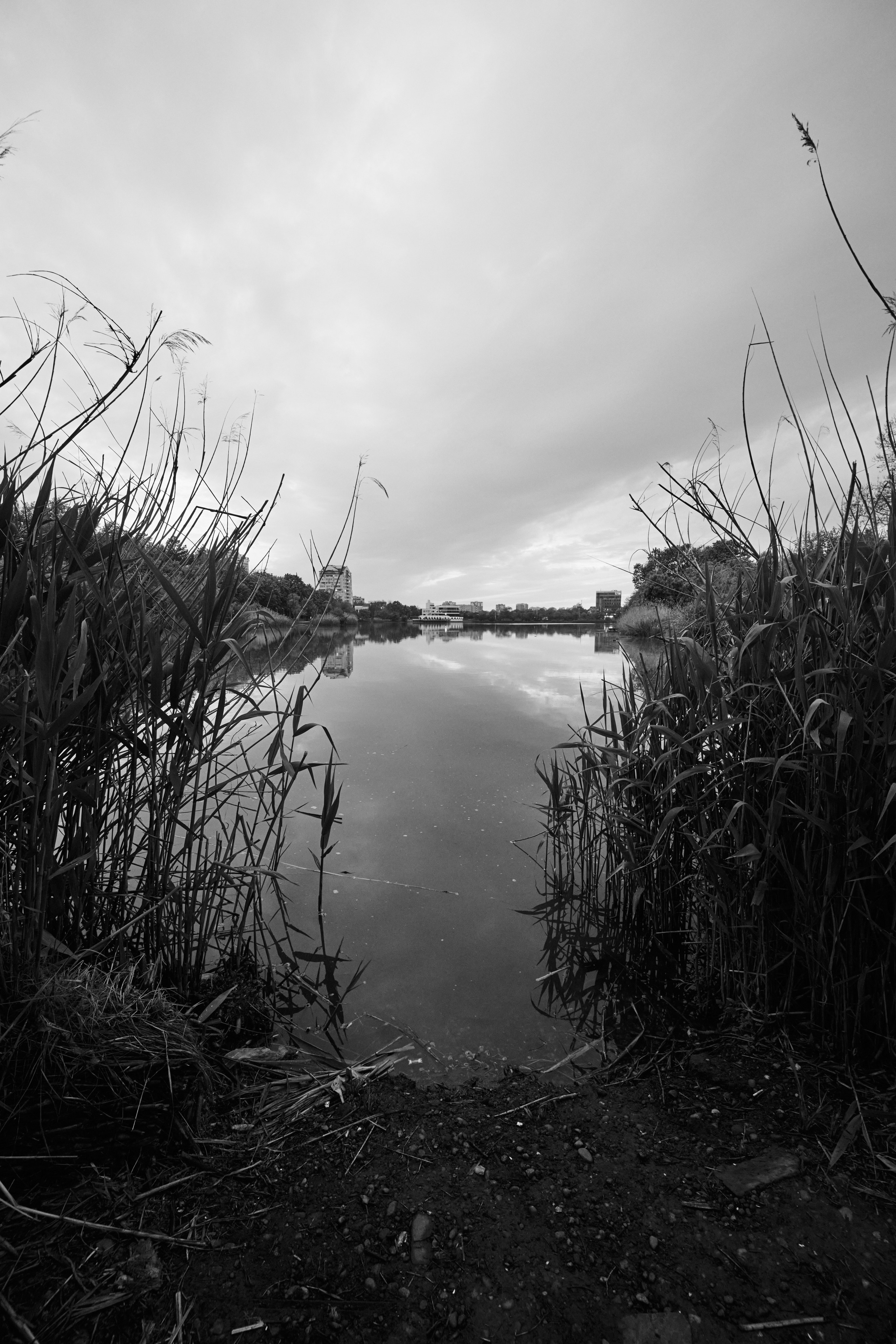 Краснодарский стрит