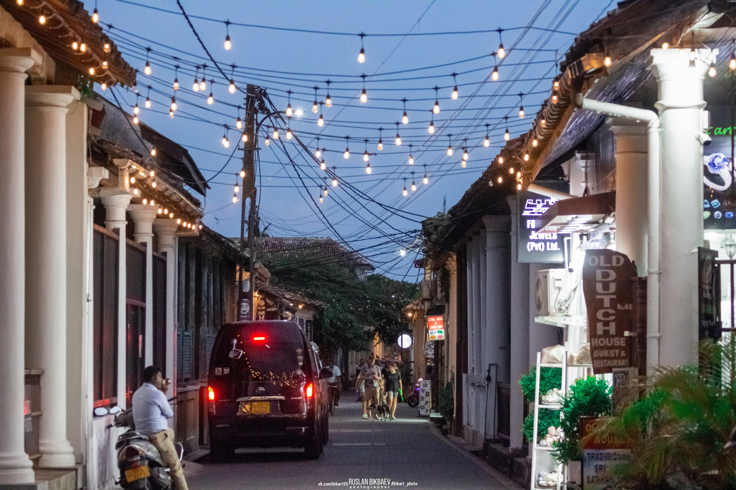 ШРИ-ЛАНКА 2025 / SRI LANKA 2025. Главная