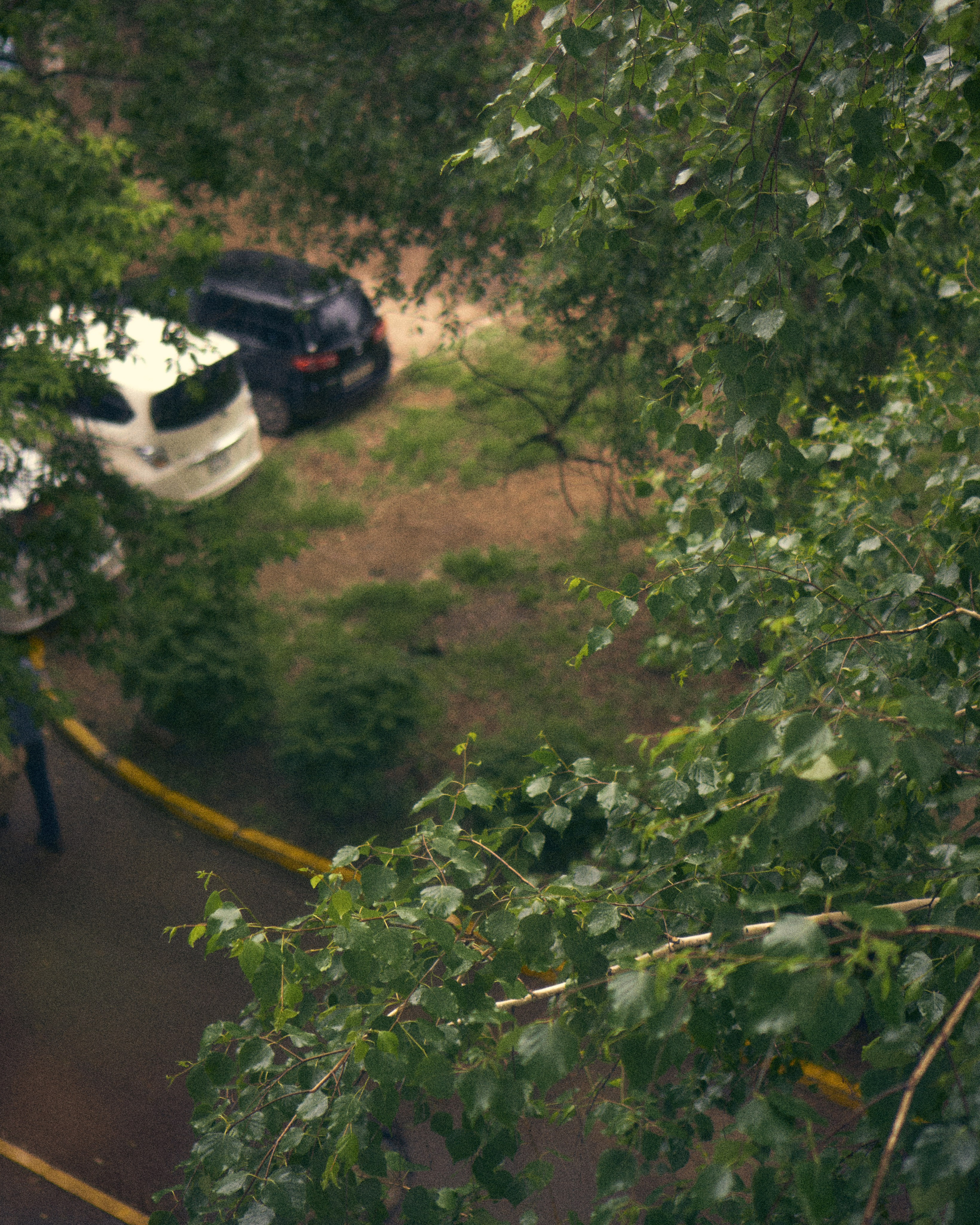 Благовещенск_2025_06_26. ALEXGAVR.PH