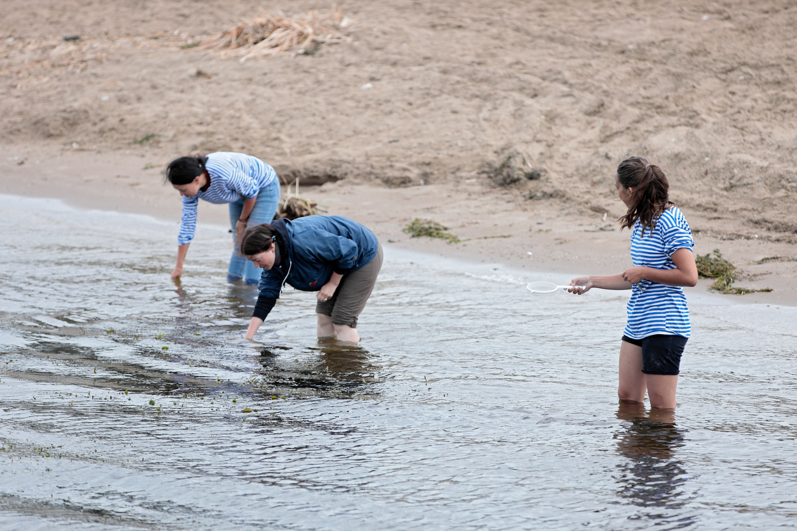 Флотилия плавучих университетов 2020. Попов.фото — Предметная фотостудия в Новой Москве
