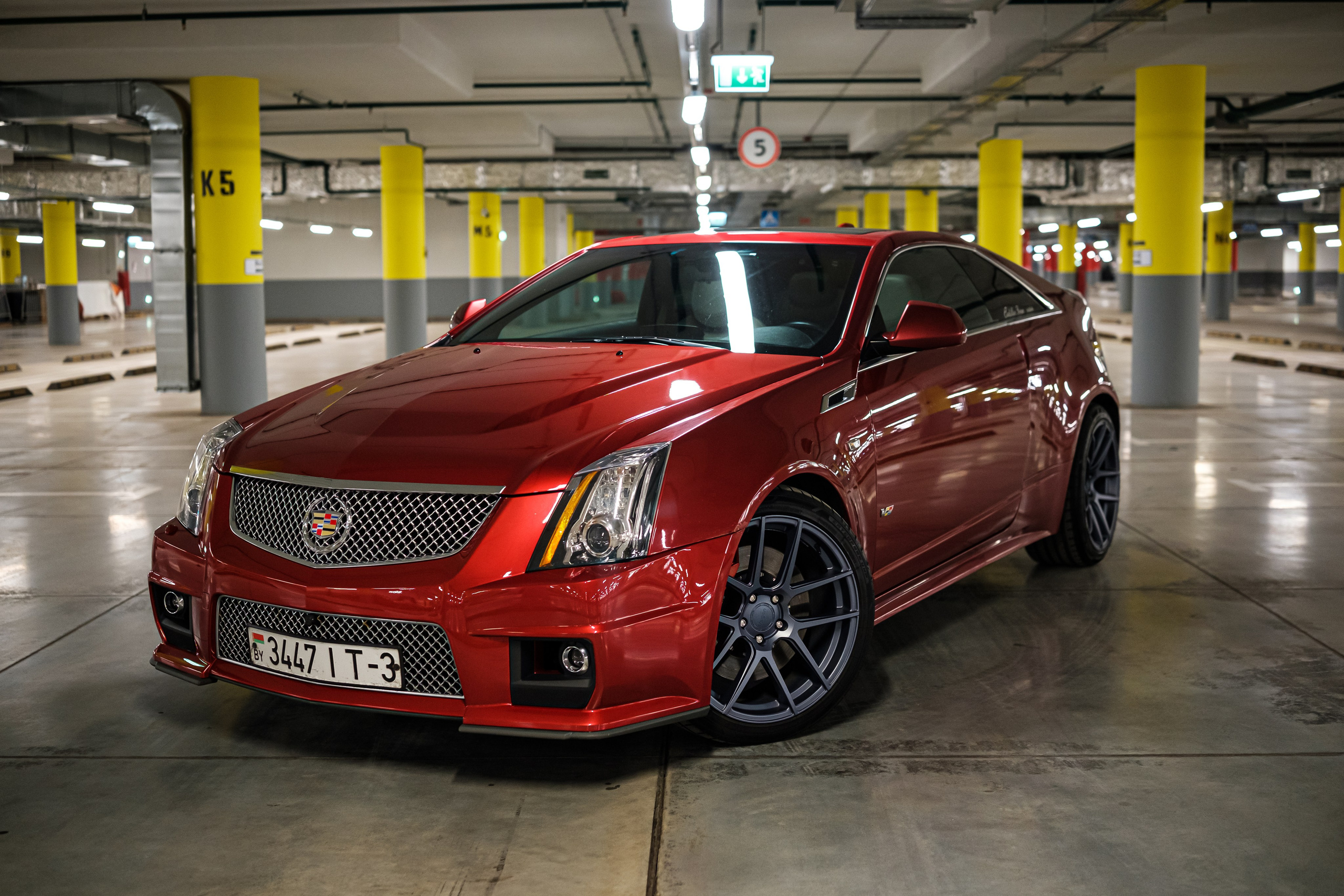 Кэдди. Алексей Никифоров фотограф Москва, Химки