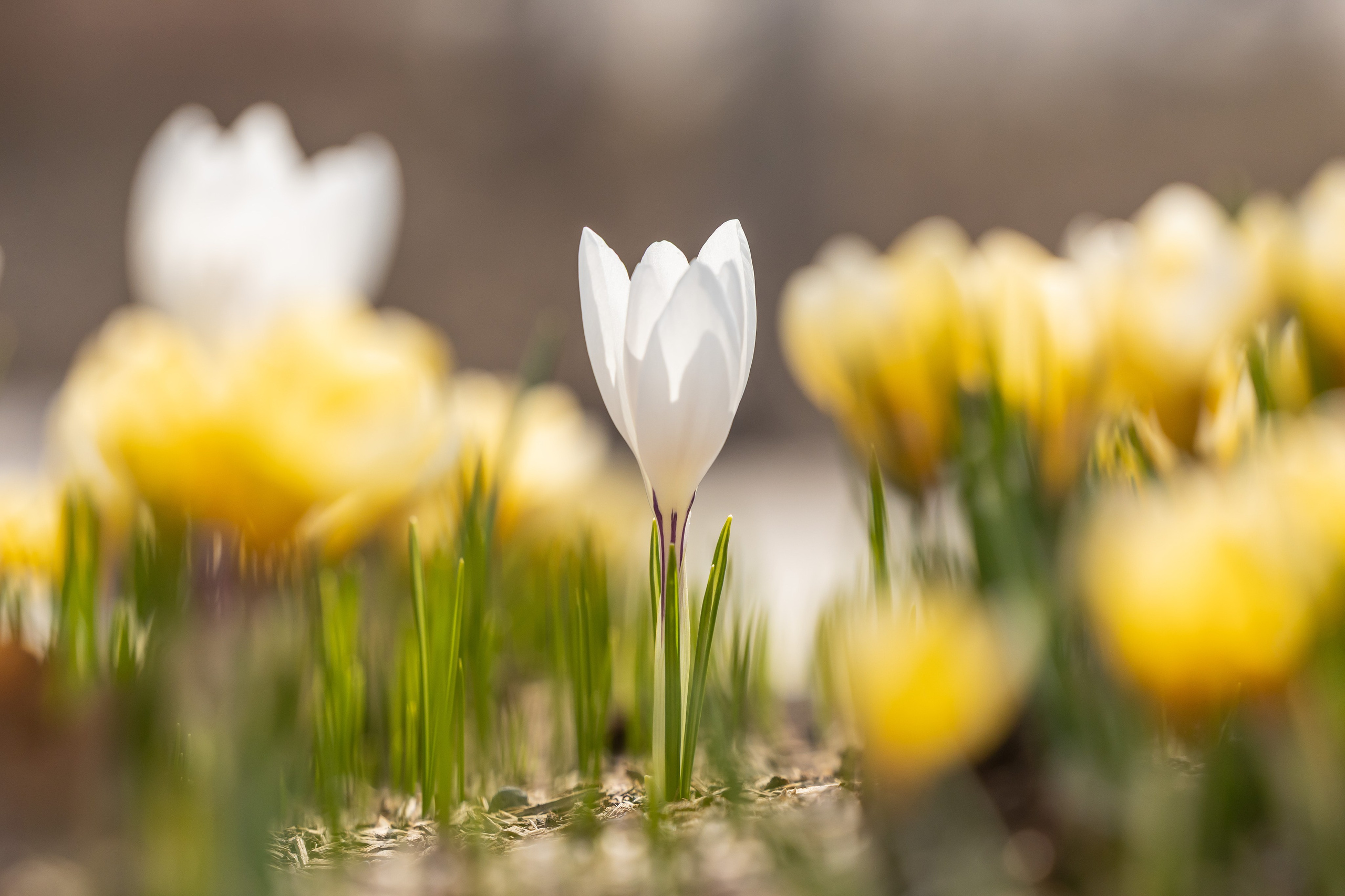 Городской пейзаж. Фотограф Владимир Охрименко