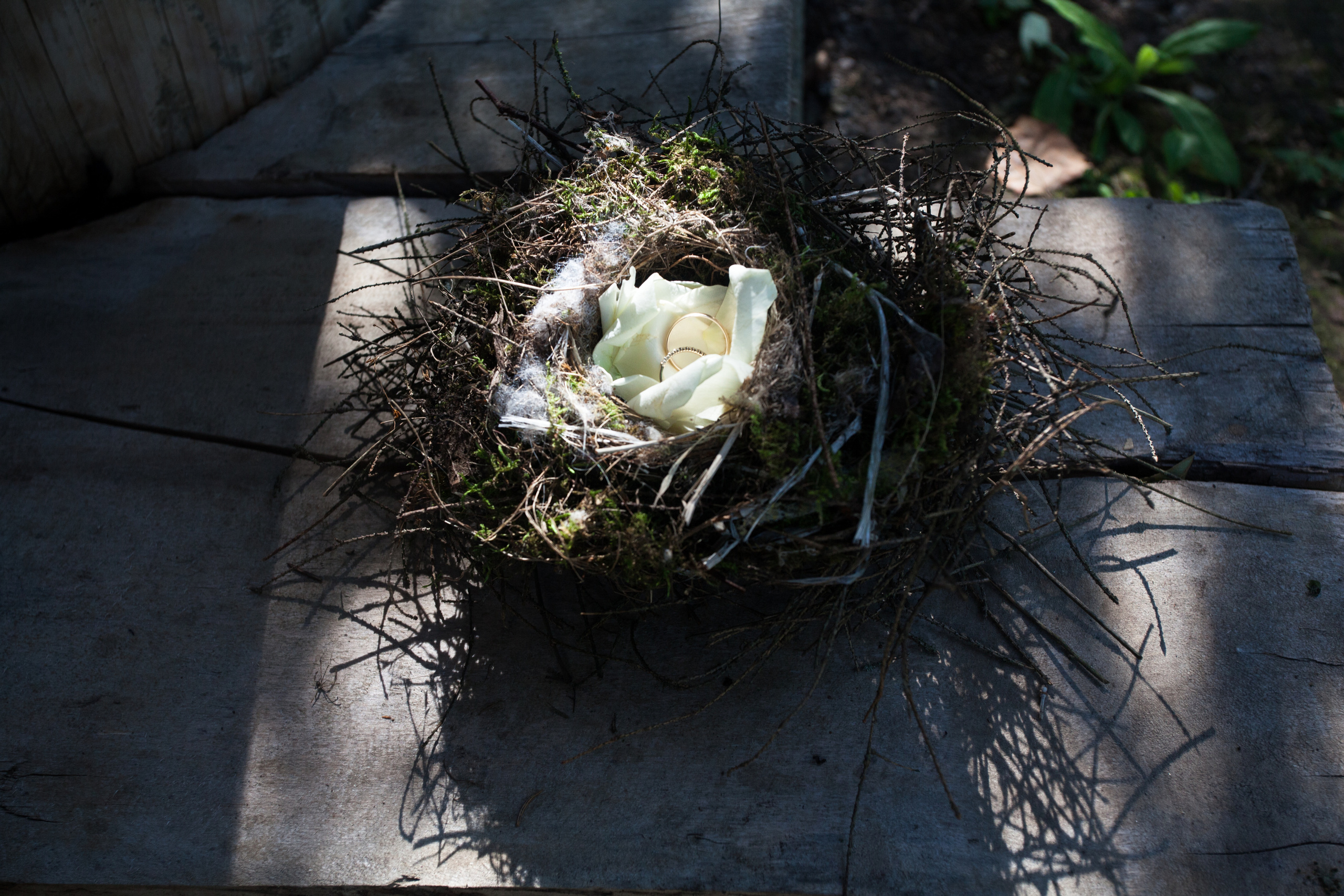 Сергей и Санчес. Свадебный фотограф Кирьянов Максим. Фотографирую в Москве, Коломне, Со