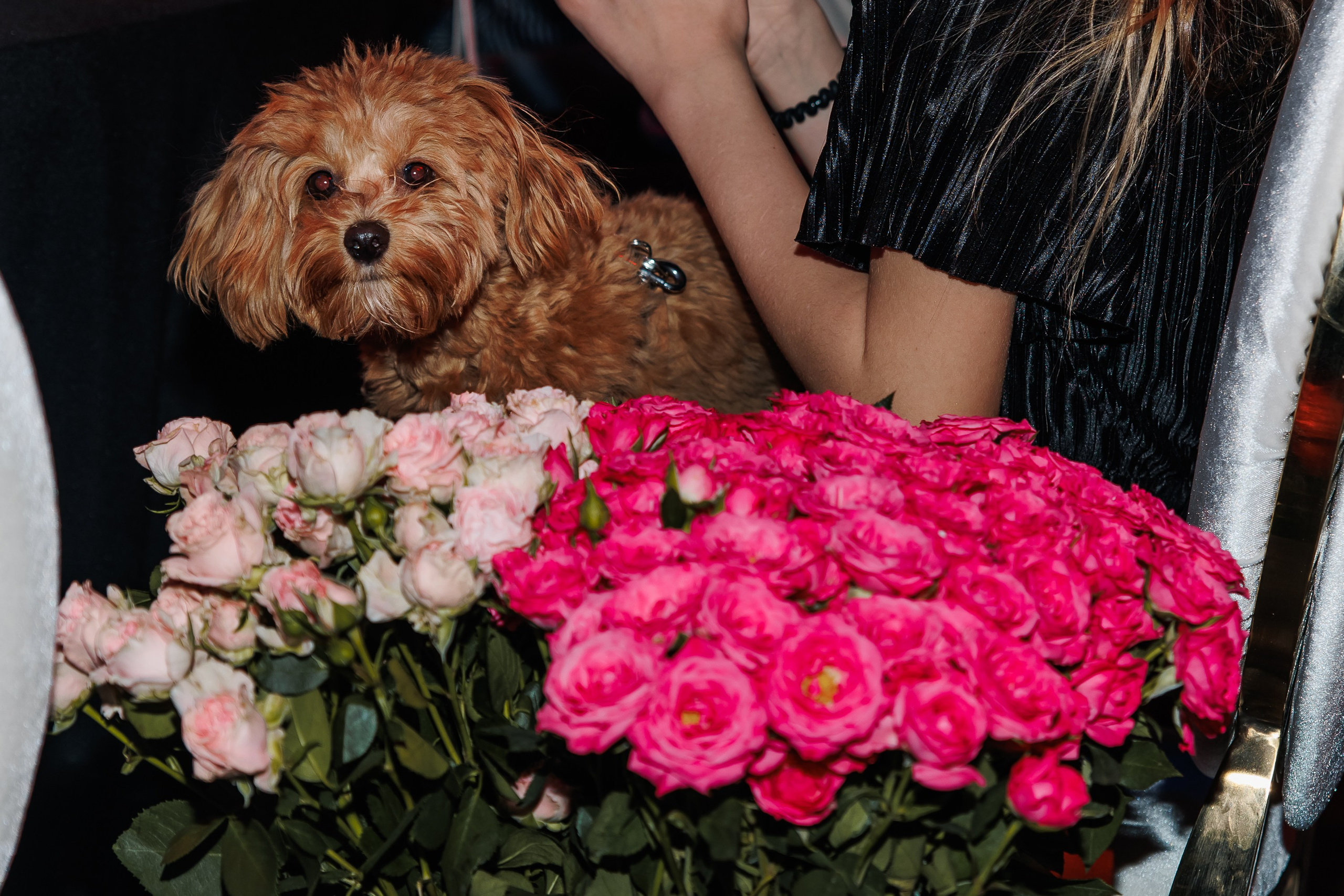 Конференция. Репортажный фотограф. Москва. Алина Ланская