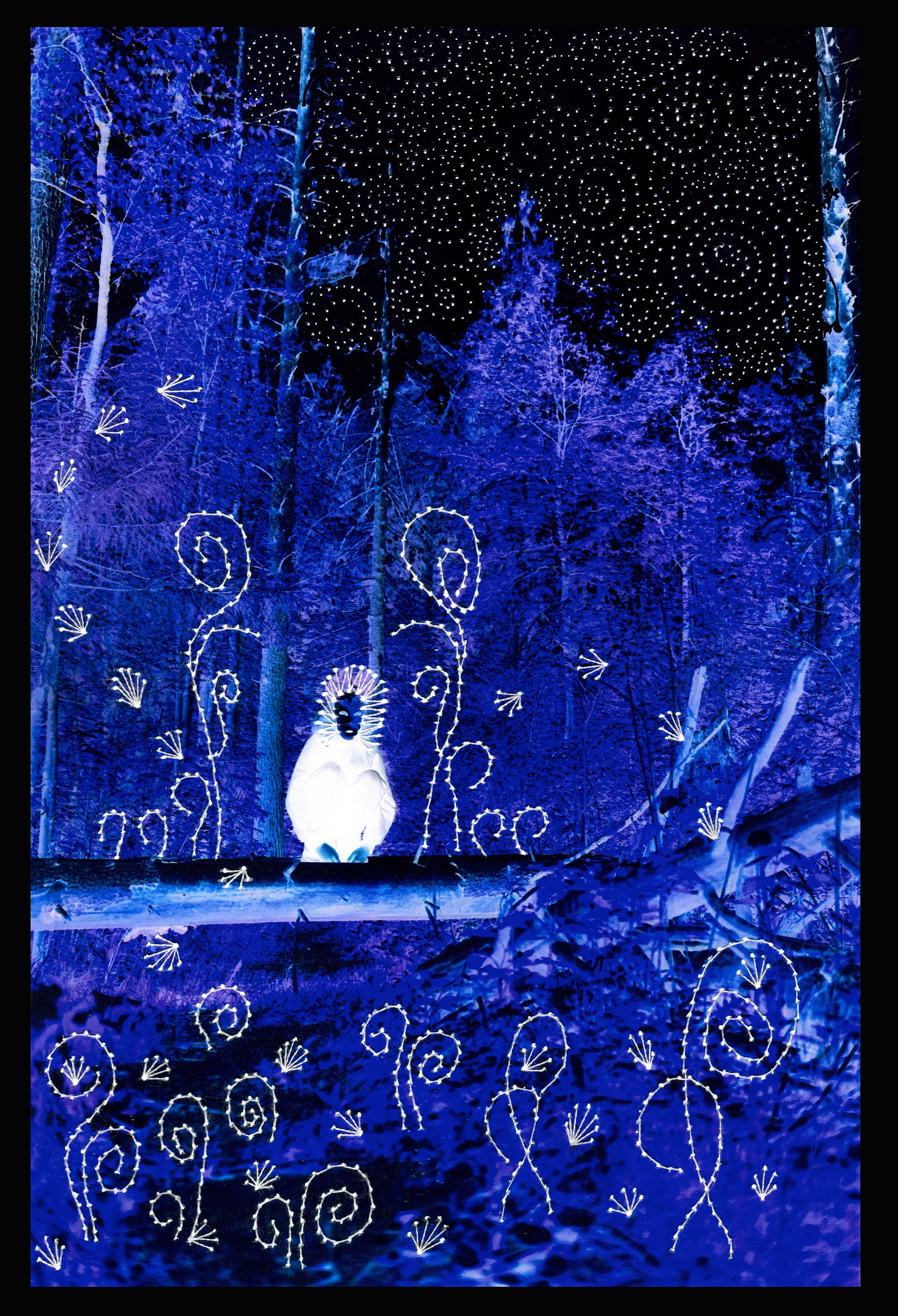 Моховик. Самый маленький лесной дух. Помогает заблудившимся детям найти дорогу домой.