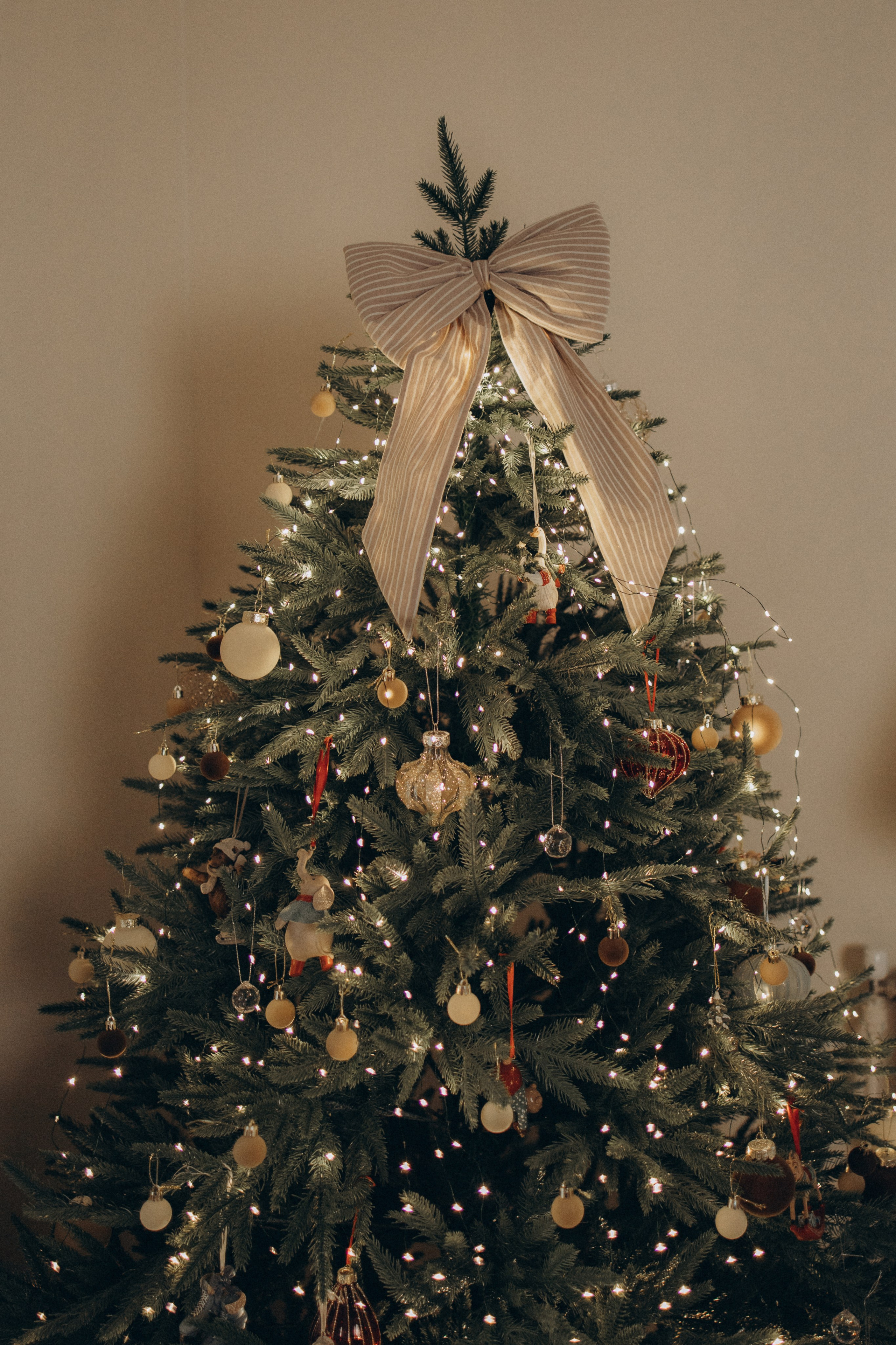 Семейная фотосессия. Свадебный фотограф Воронеж Оля Маркович