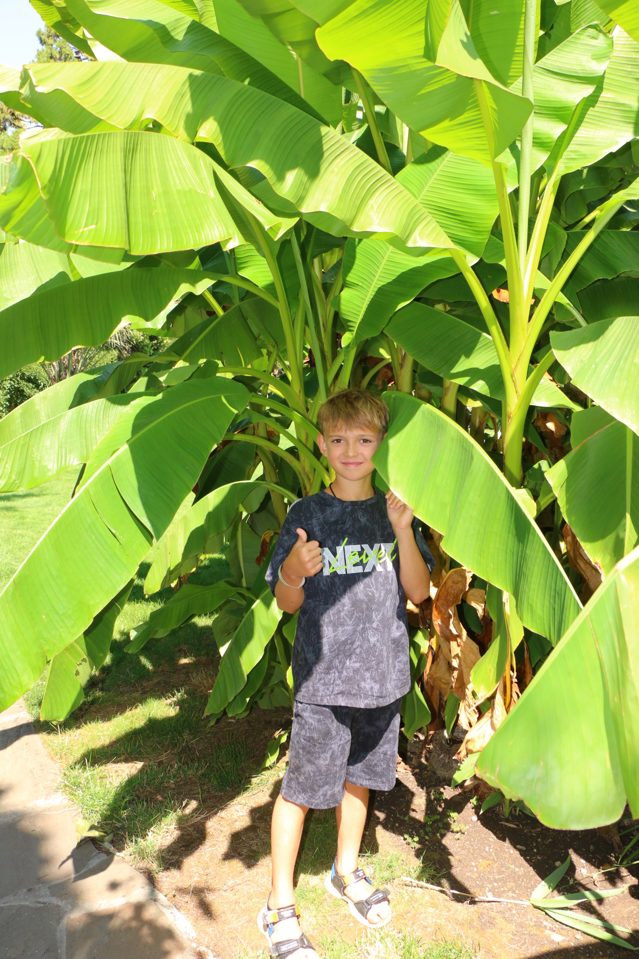 Семейный и детский фотограф в Ялте Ольга Солерина