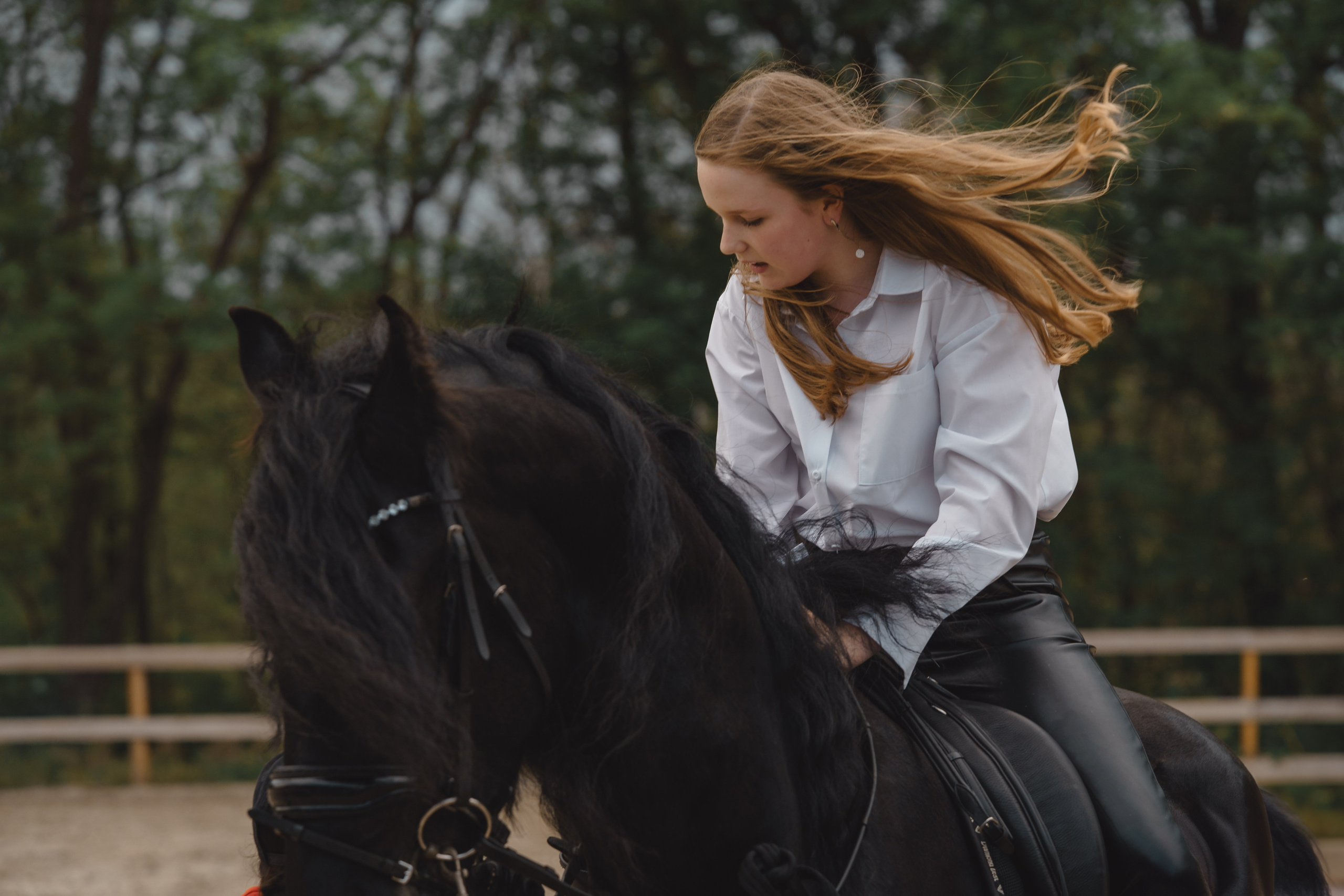 Алиса и Фантом. Свадебный и репортажный фотограф Ростов-на-Дону Алексей Гуль