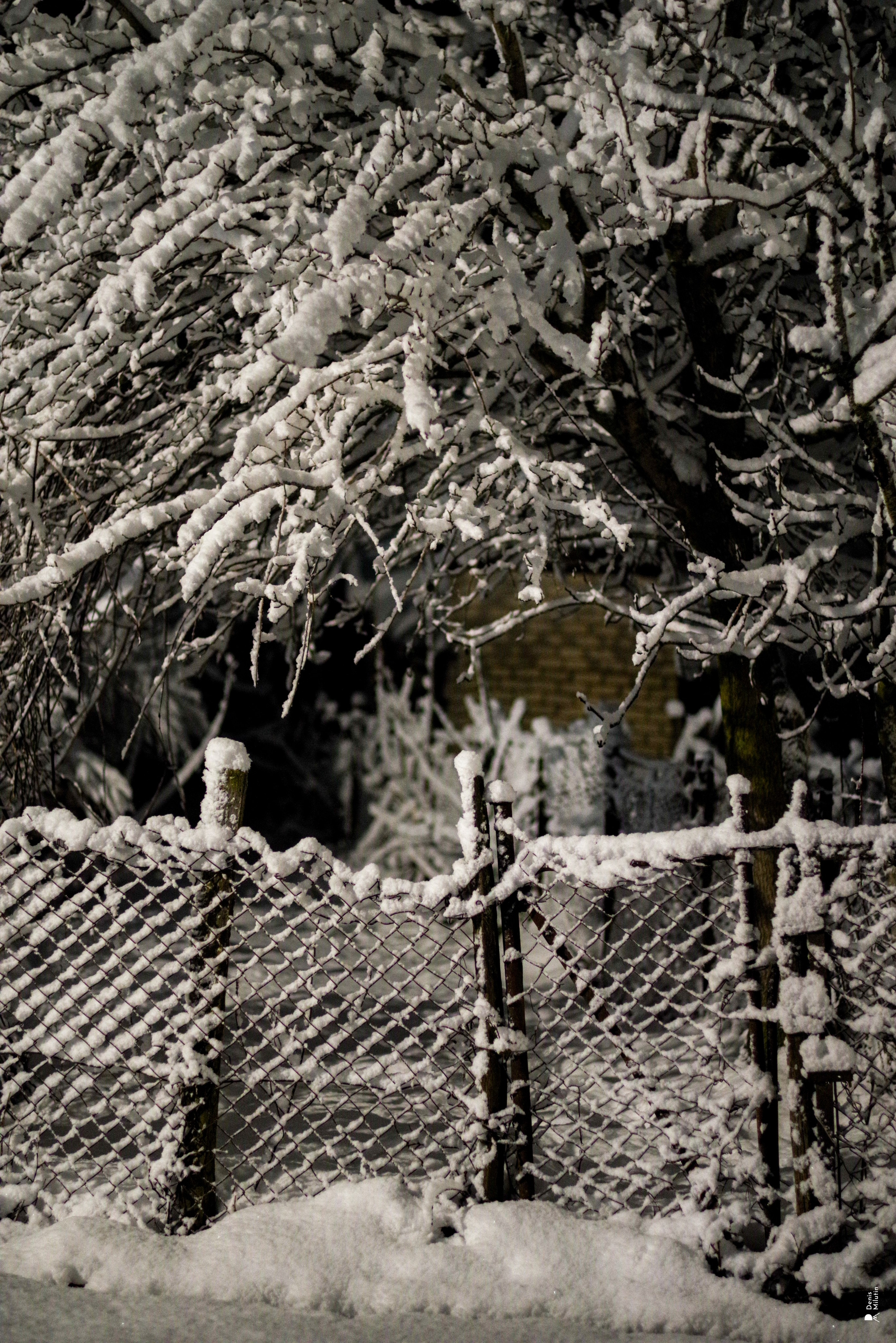 Ночь в Менджи. Портретный фотограф Денис Милютин