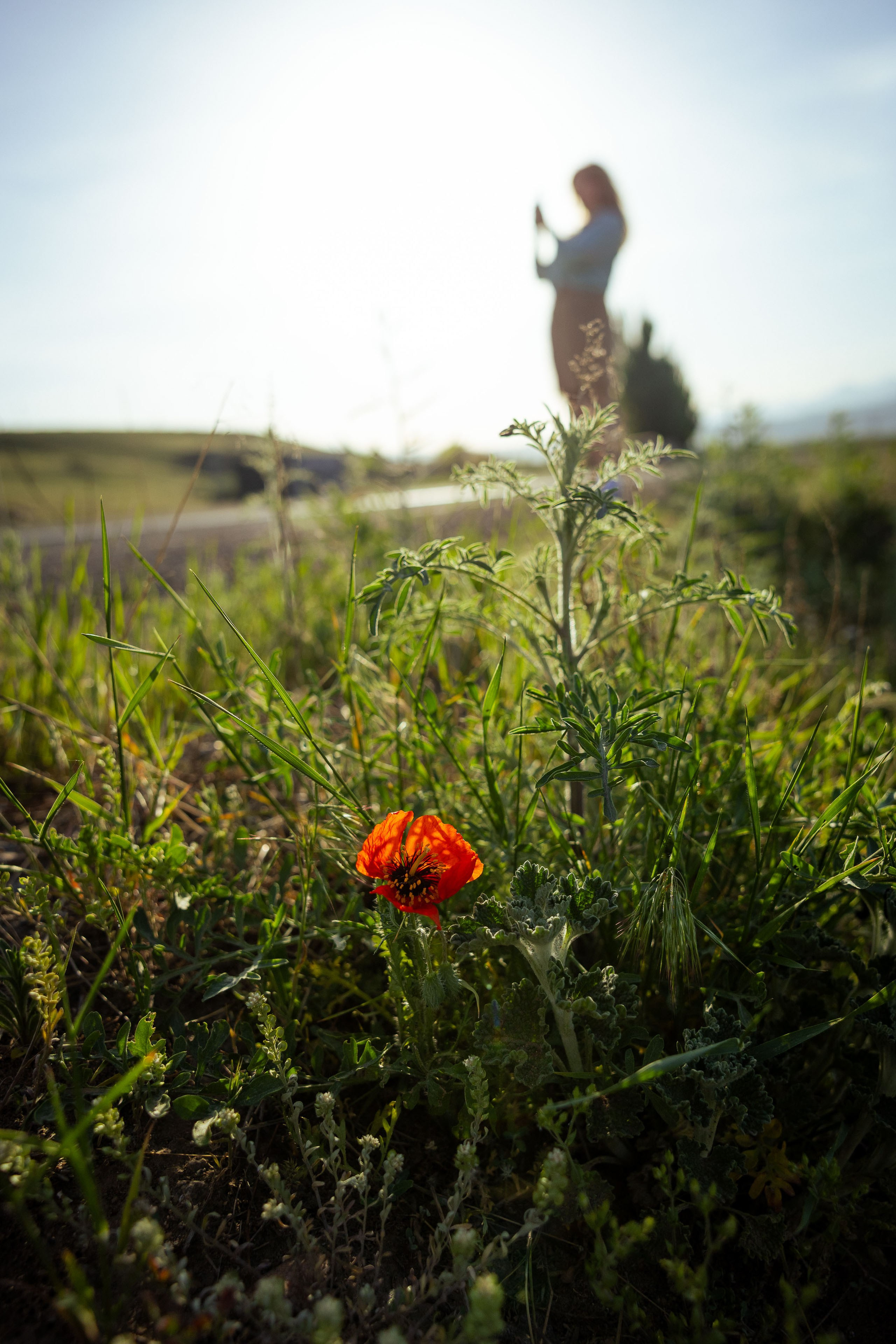 Кыргызстан (весна 2025). Фотограф Виноградов Константин