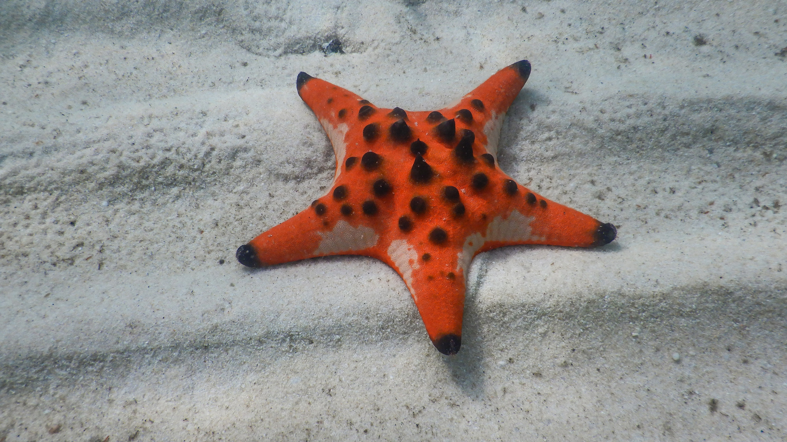 Остров Фукуок, Вьетнам. Фотограф Сергей Кишкель Дананг Нячанг Фукуок
