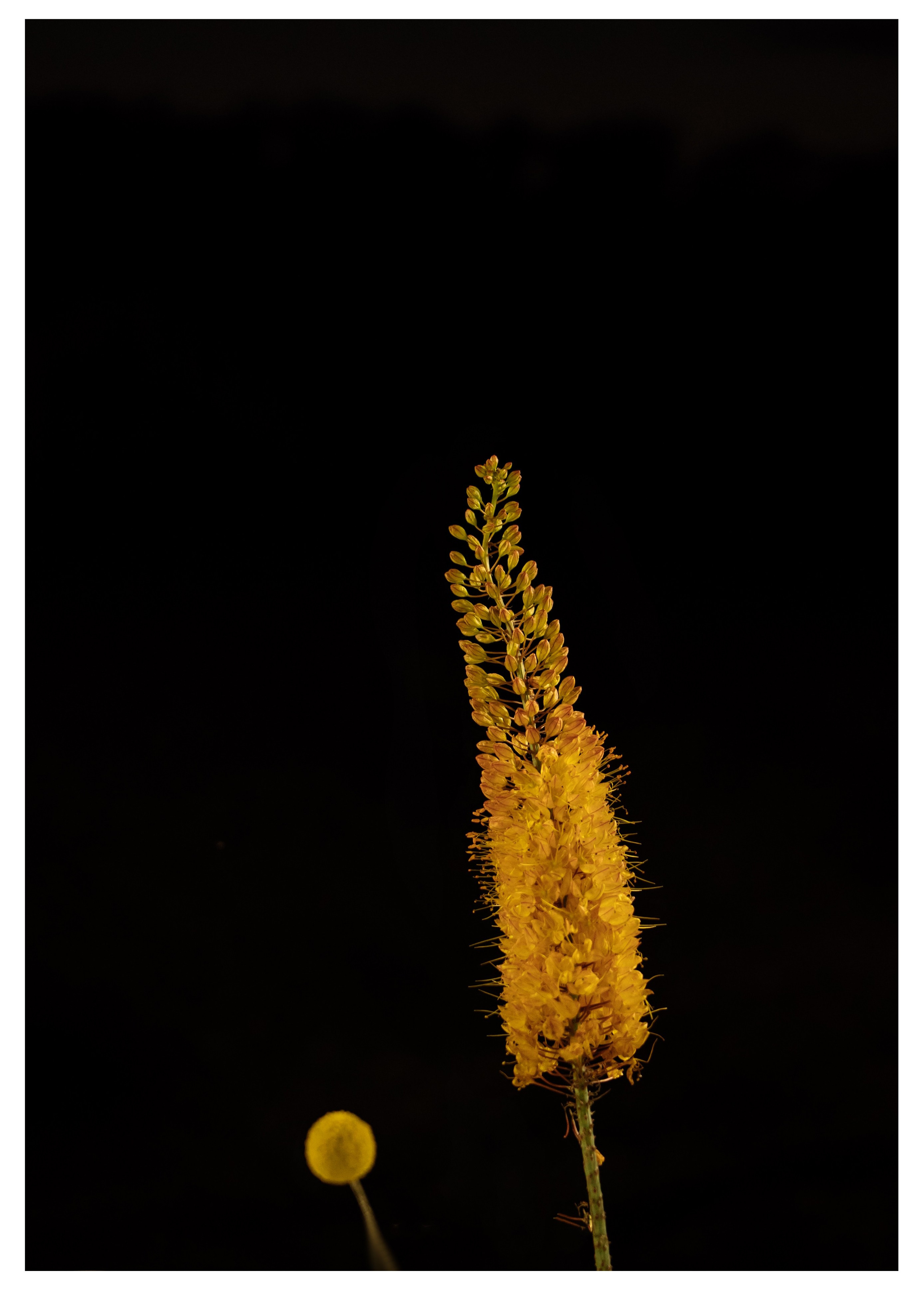 Где бы я не был, где бы ты не была, ты мое небо. Свадебный фотограф Тольятти Москва Адамова Виктория