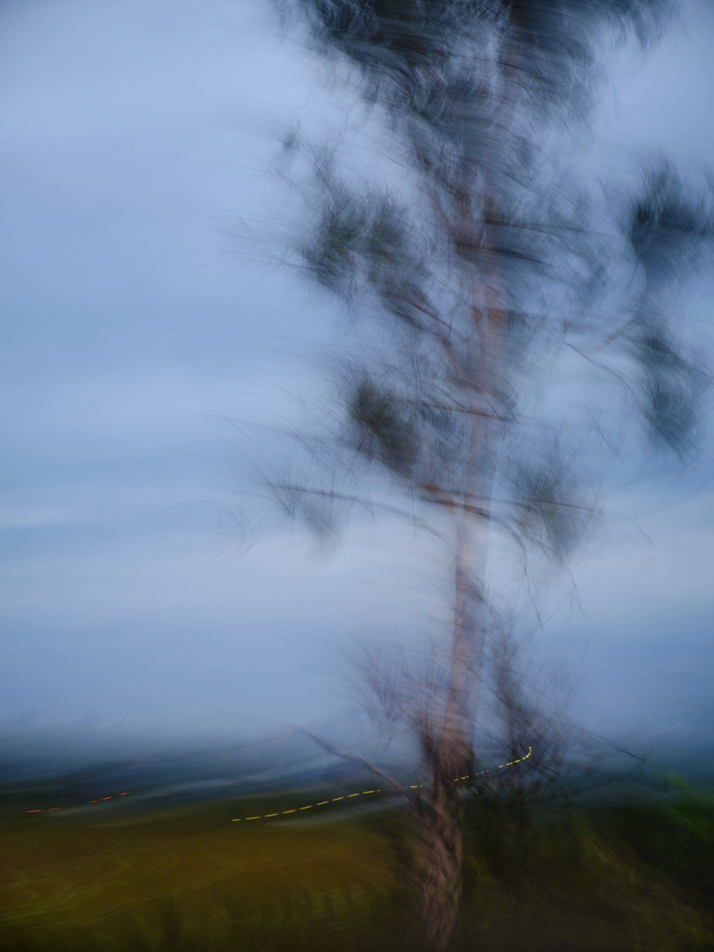 Фотограф Юлия Глазкова