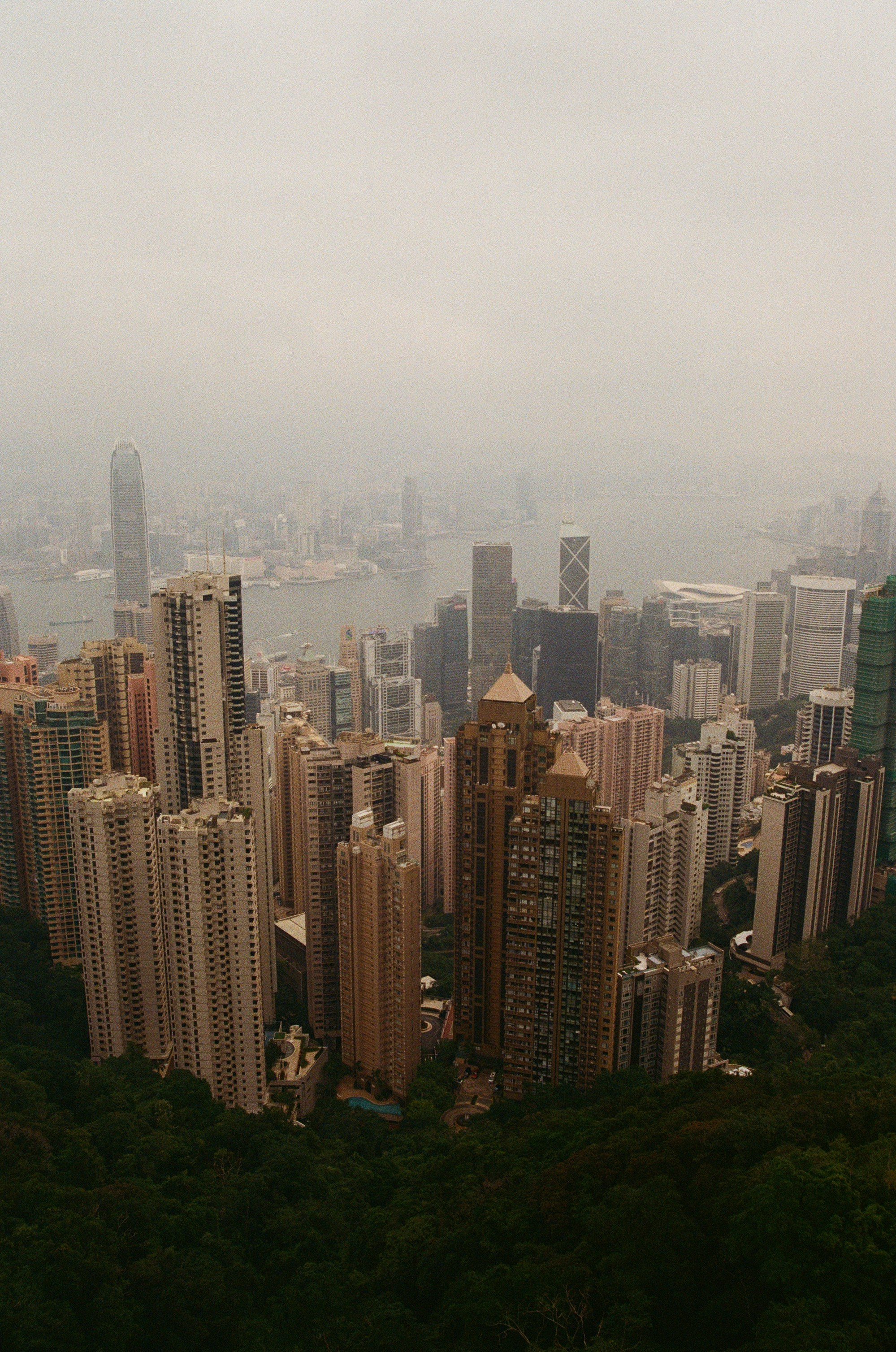 Гон Конг 2024. Репортажный и портретный фотограф Русакова Жанна