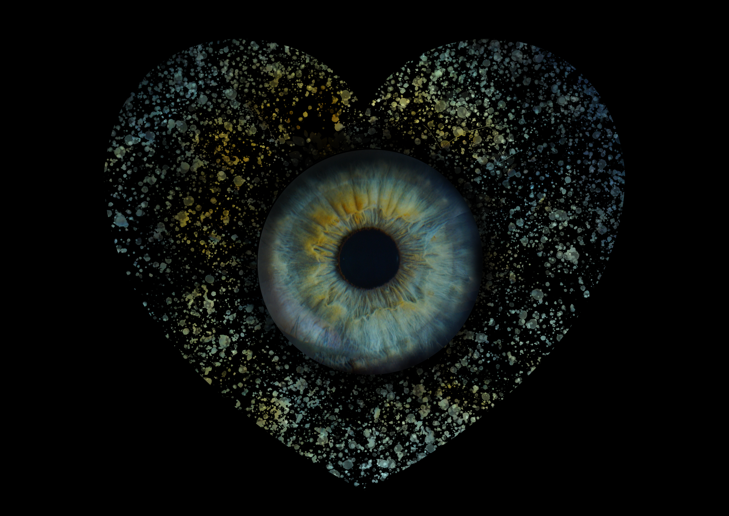 Анжела 11021930. ShowLab