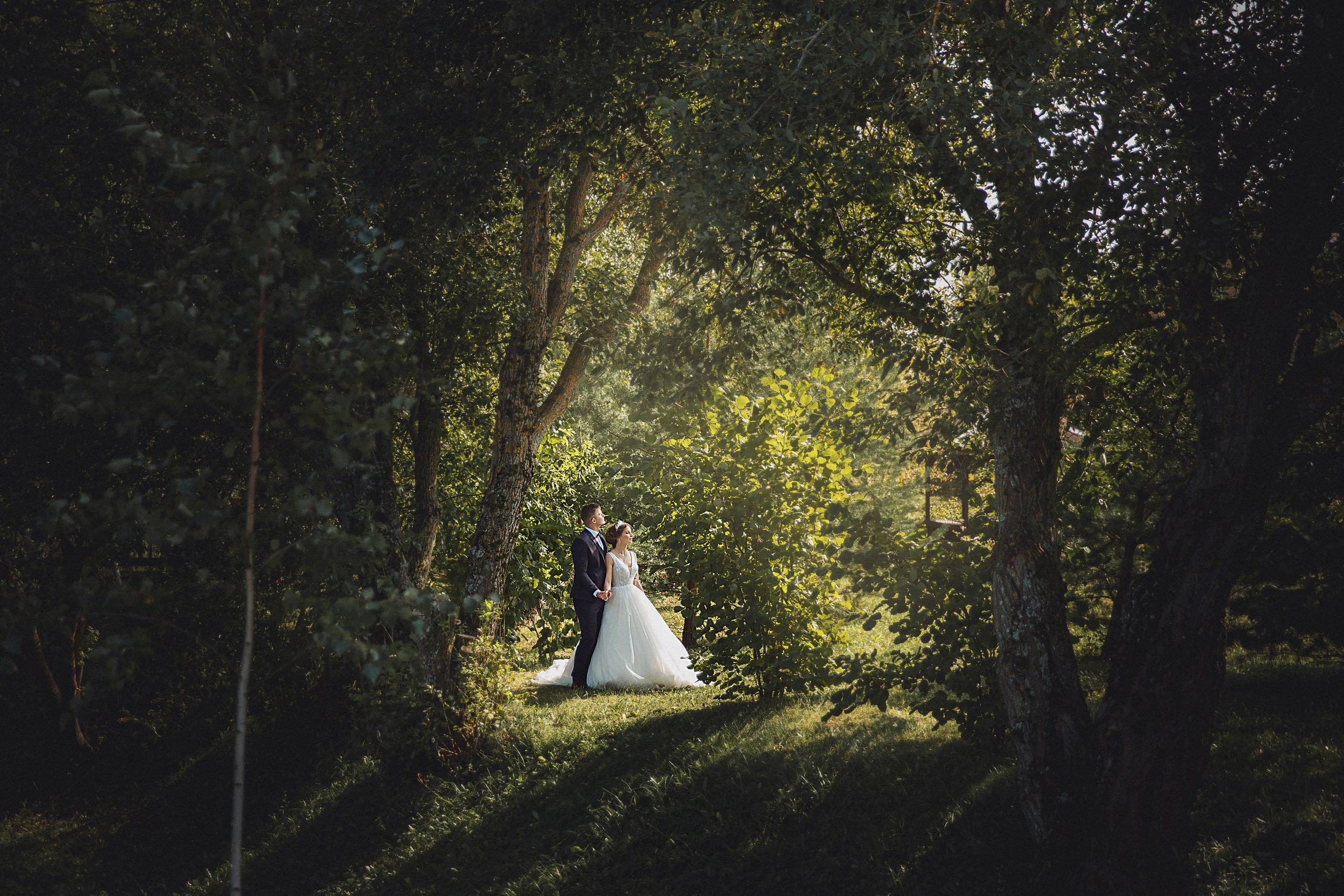 Свадебная серия Андрей и Натальи