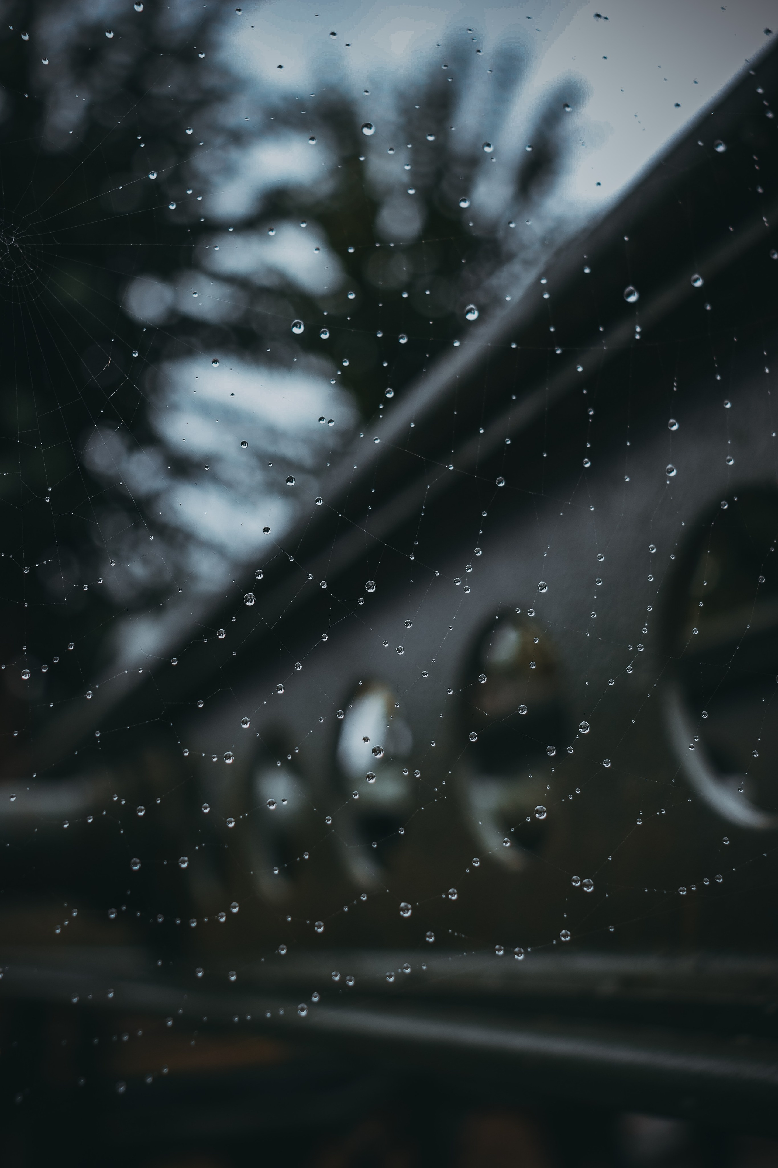 В О Д А. — Digital Noise —