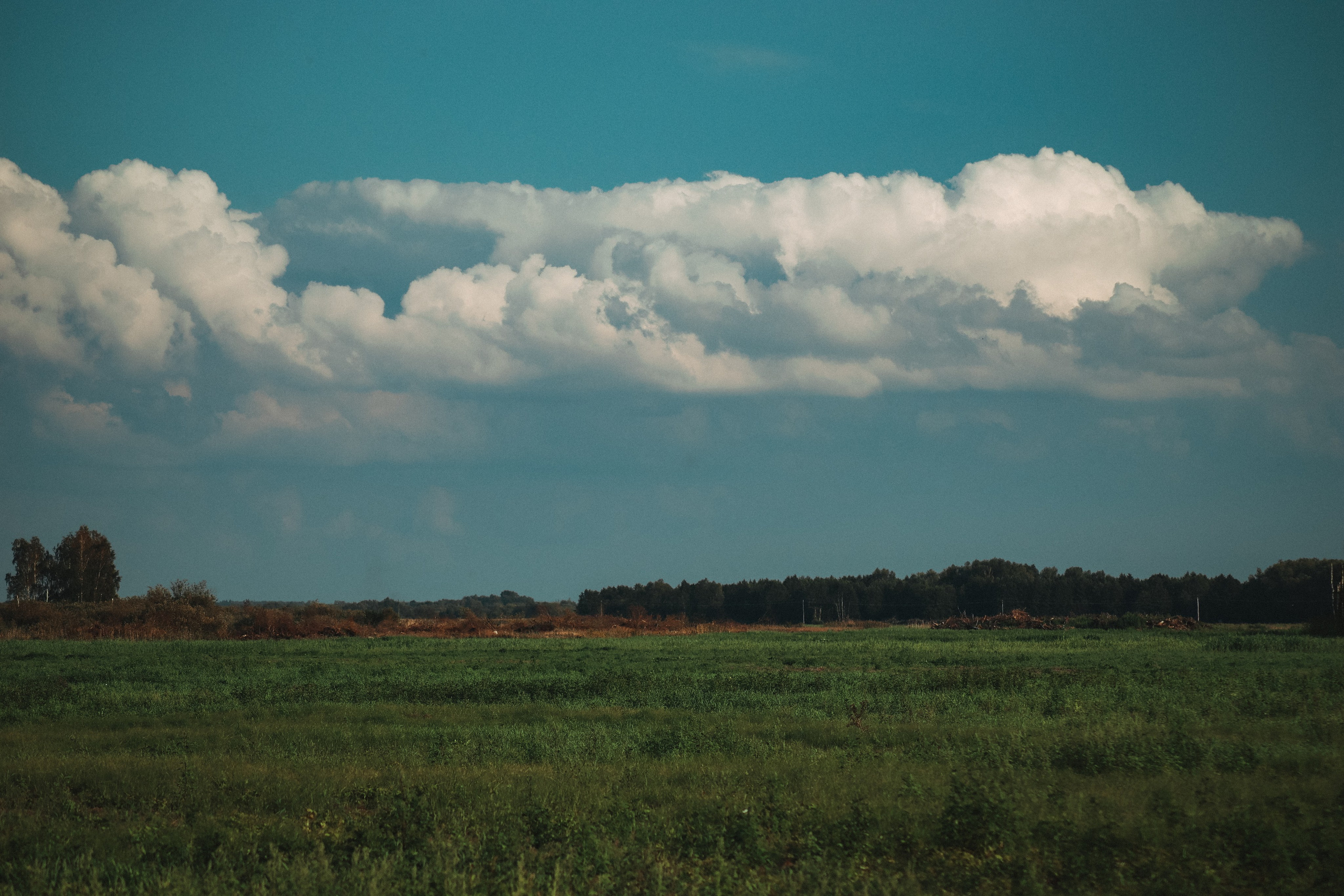 П Е Й З А Ж Н Ы Е. — Digital Noise —