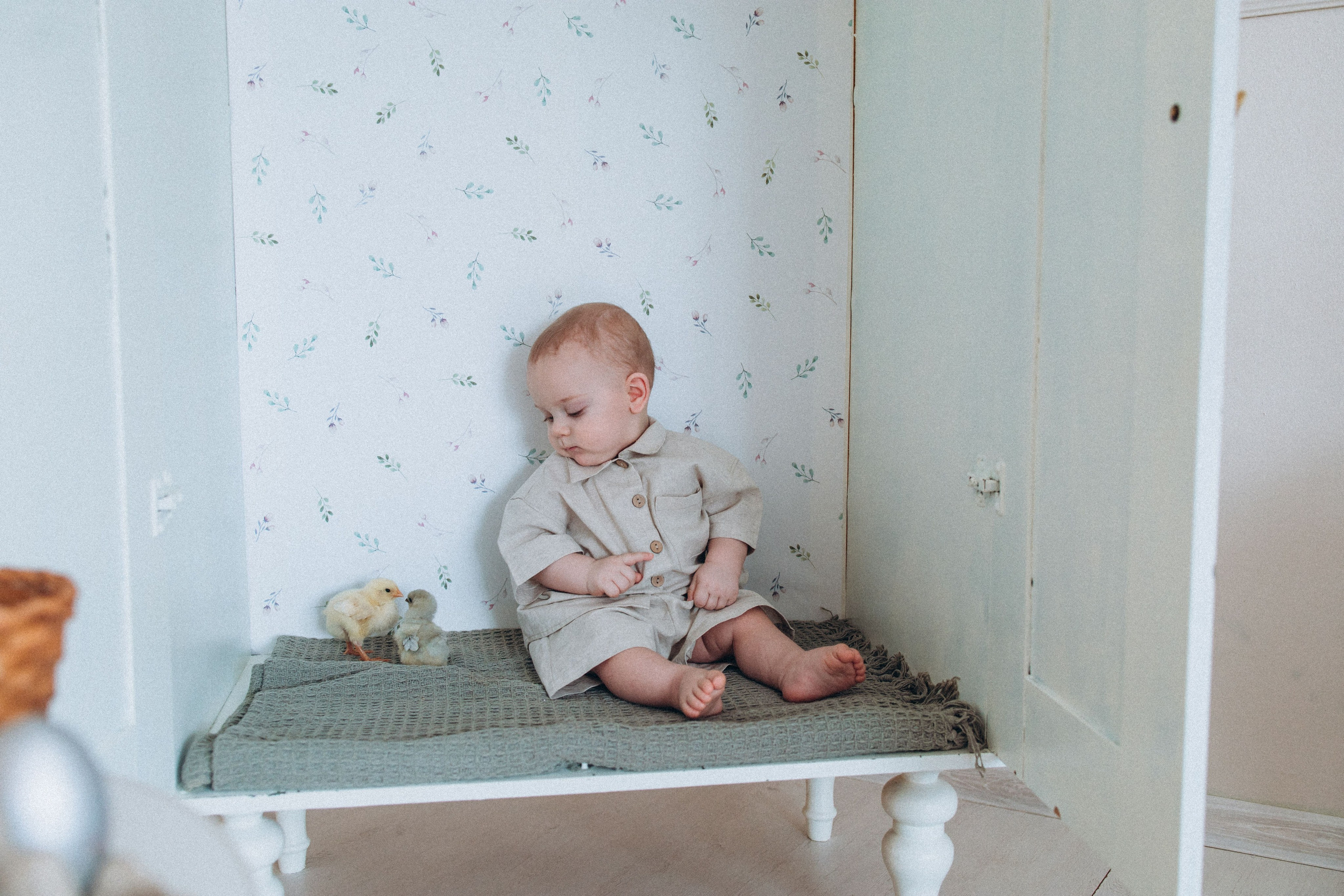 С цыплятами. Семейный фотограф Нижневартовск Тюмень Ефимова Ирина