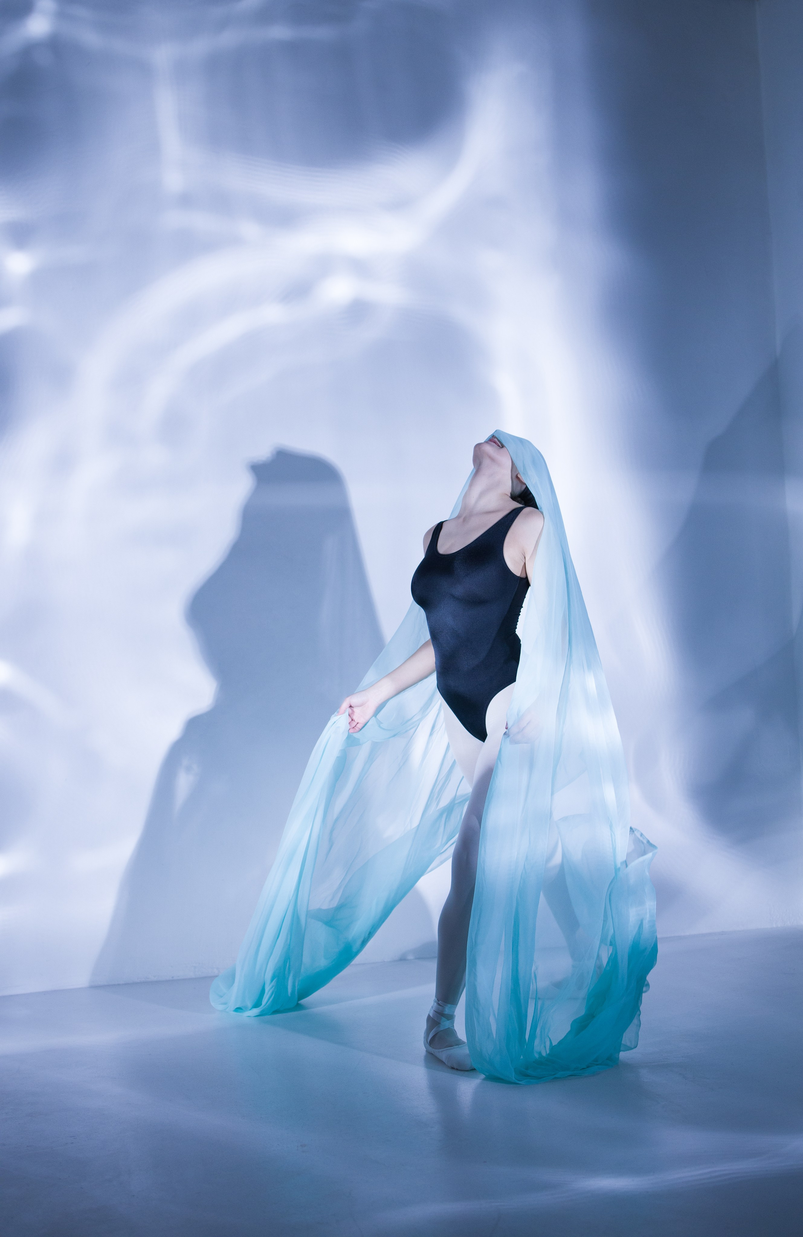 Лилия. Художественная фотография