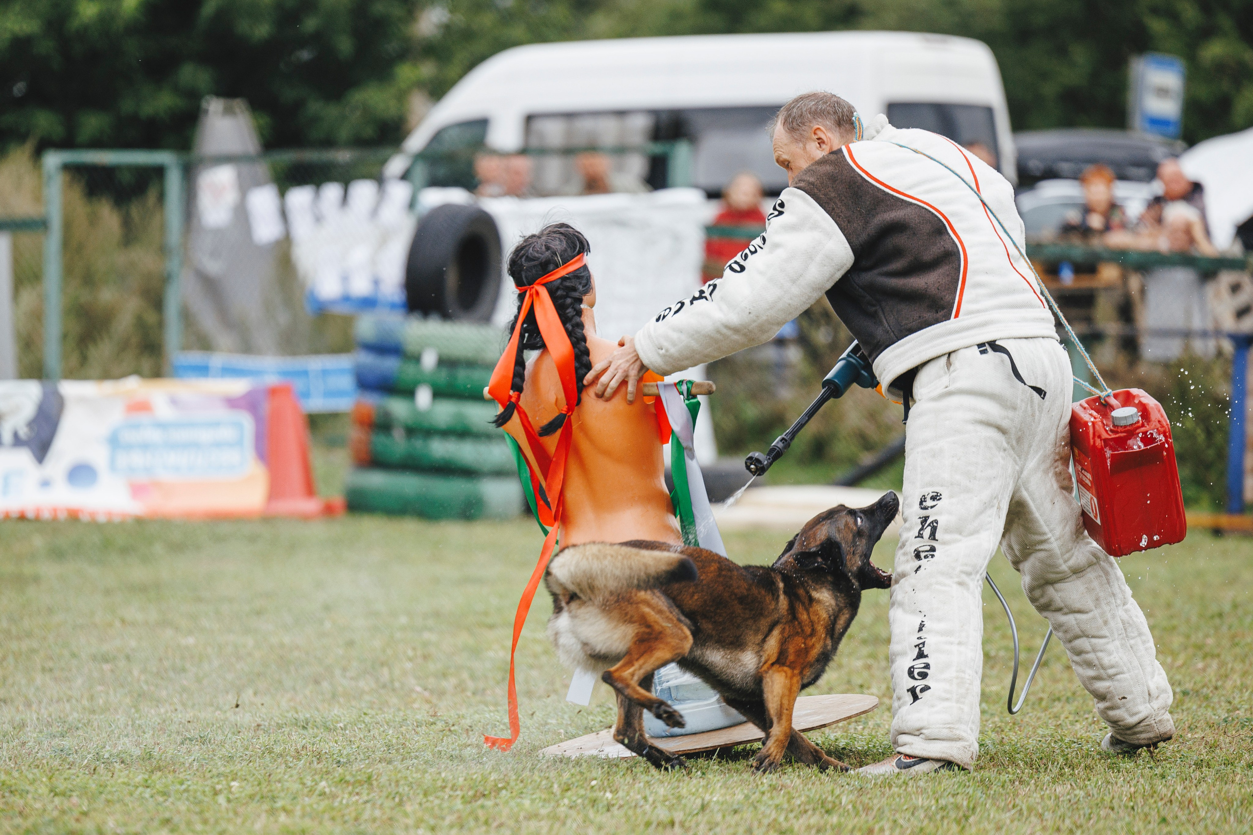 08.08.25-10.08.25 ЧР по мондьорингу г. Вологда. Фотограф-анималист Анна Маринич