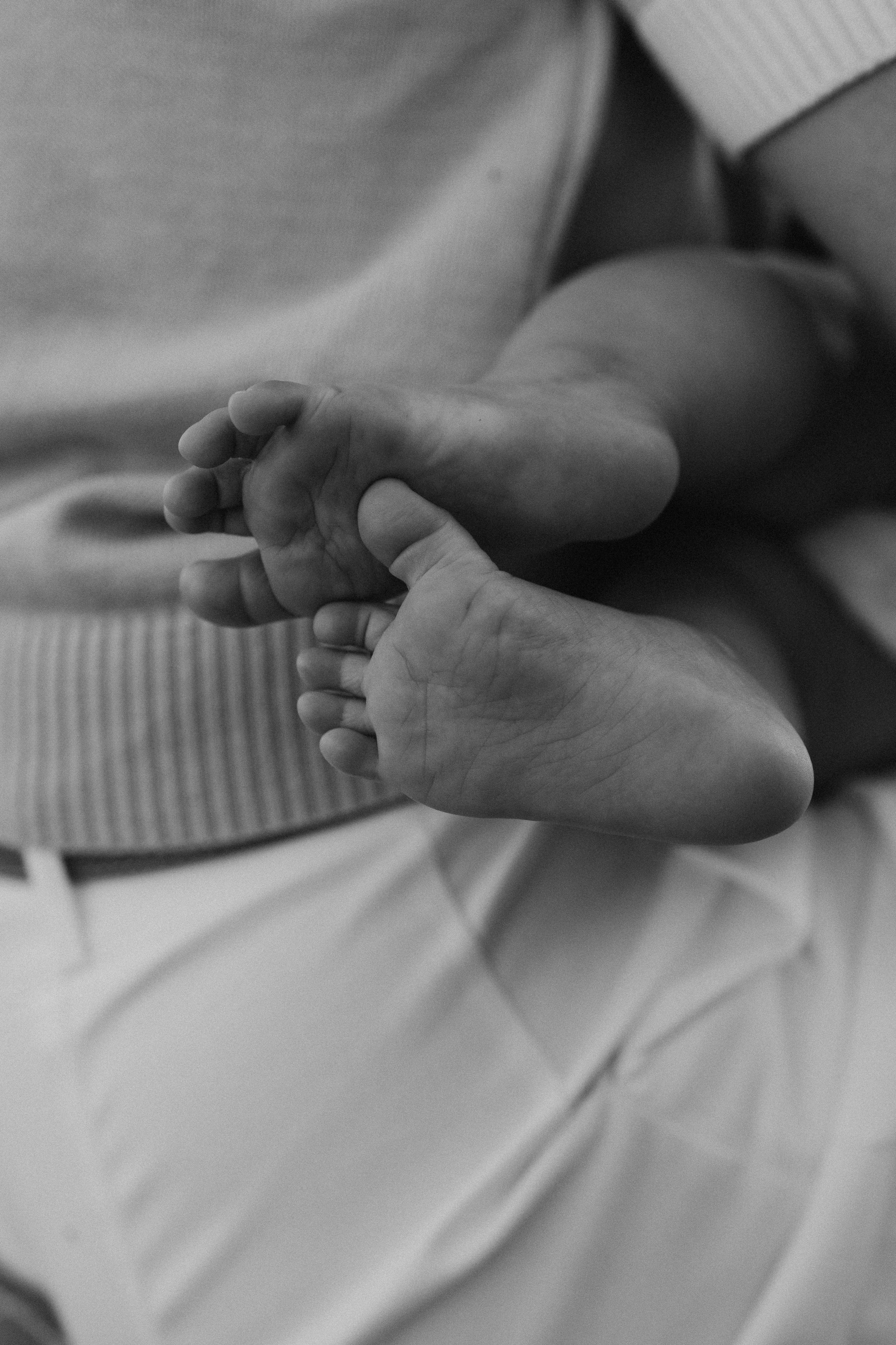 Булочка. Фотограф из Петербурга