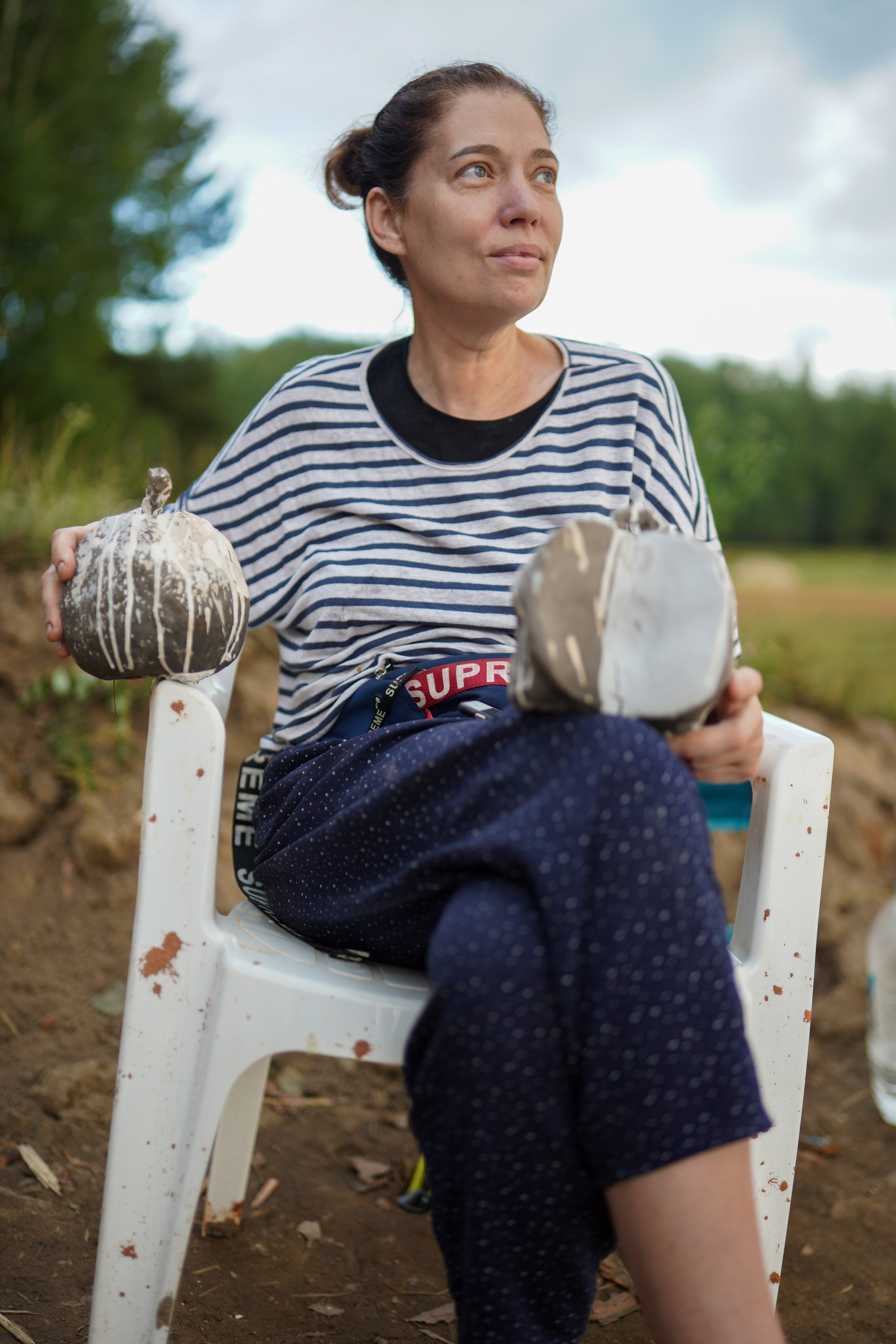 Wild fire 2024 — Дикий огонь 2024