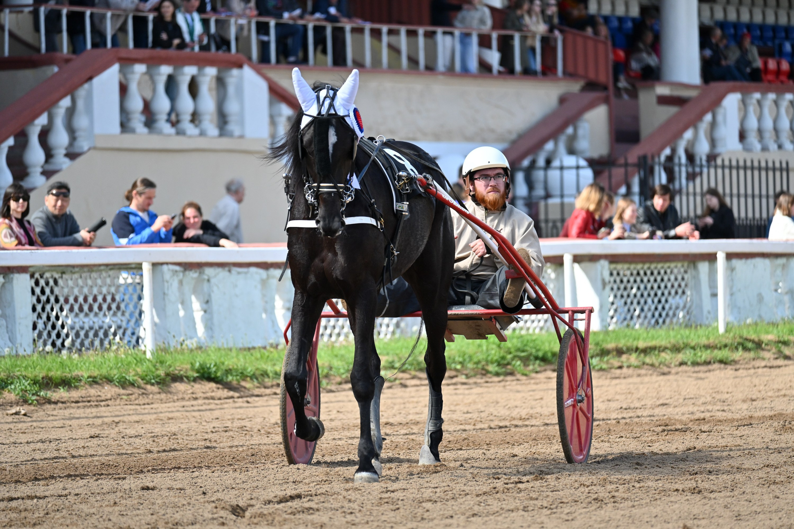 Московский ипподром. Fotolux