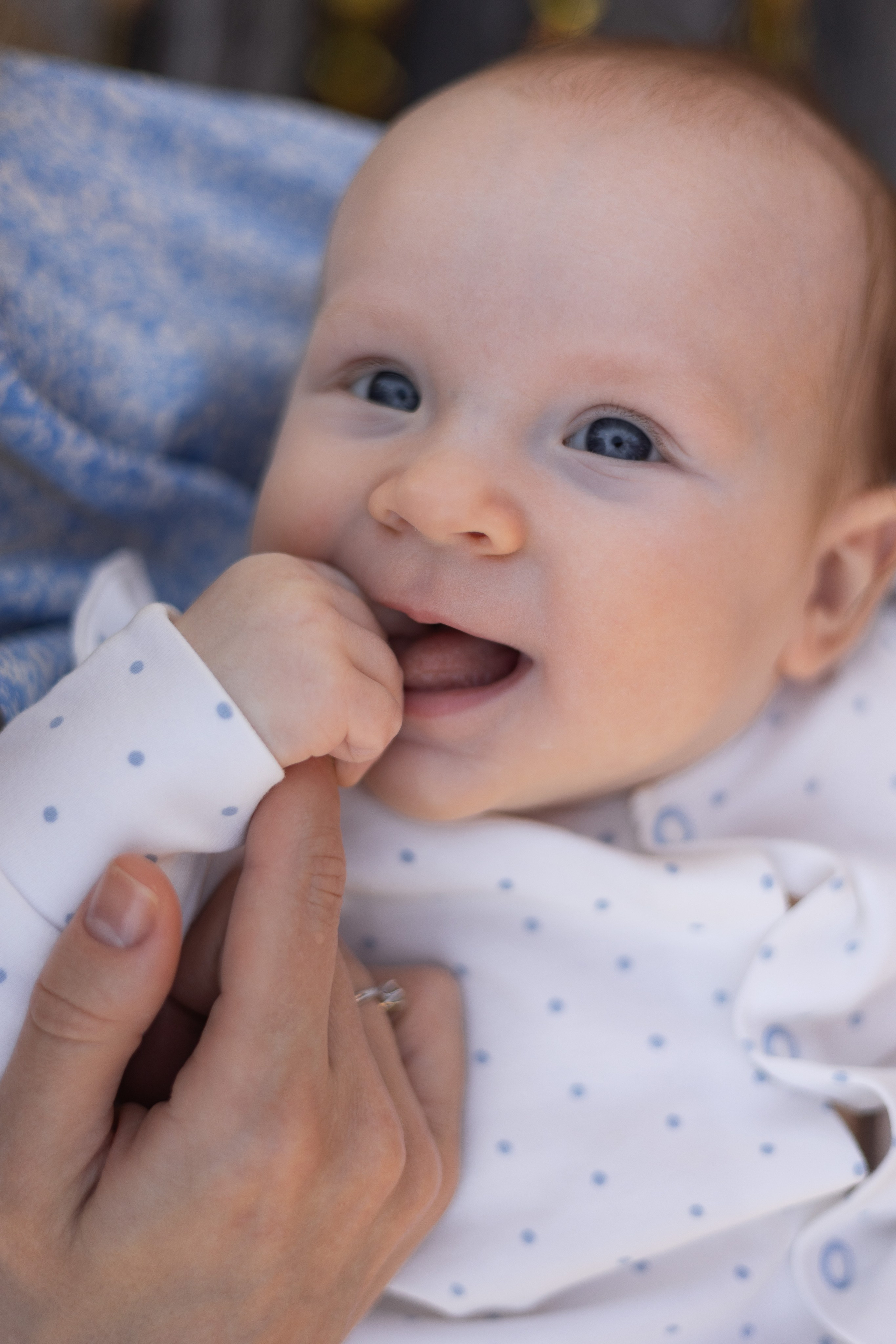 Анастасия и Миа. Фотограф Печерская Анастасия