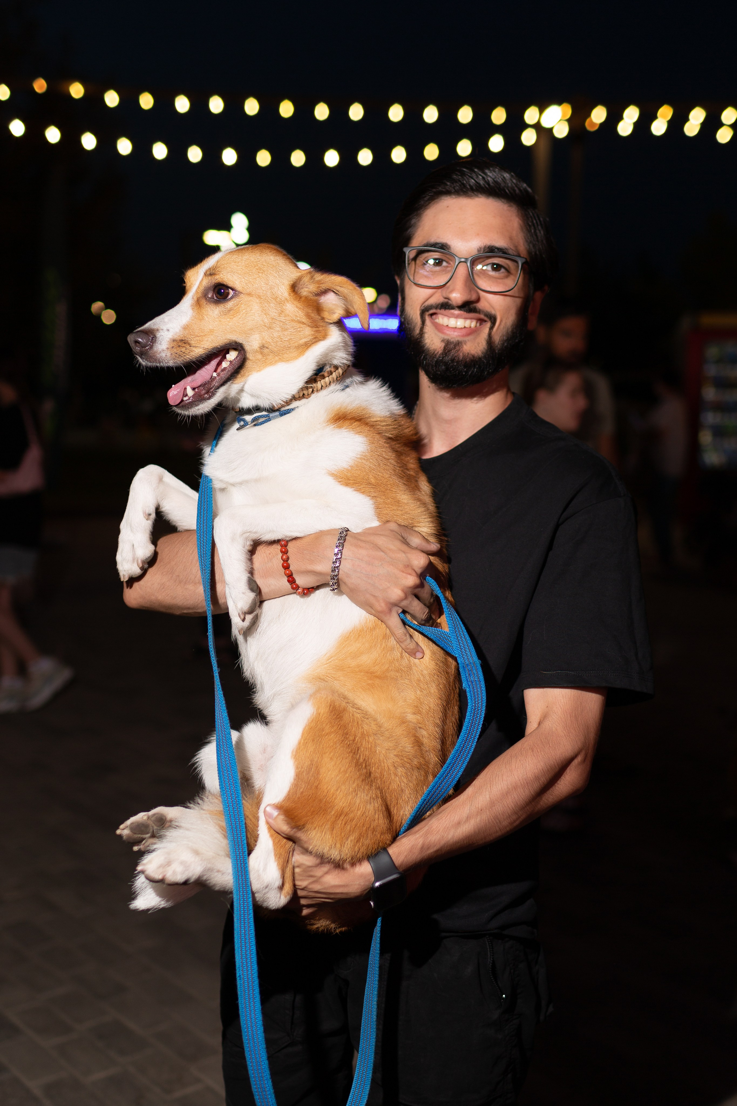 Dog Fest 2024. Главная