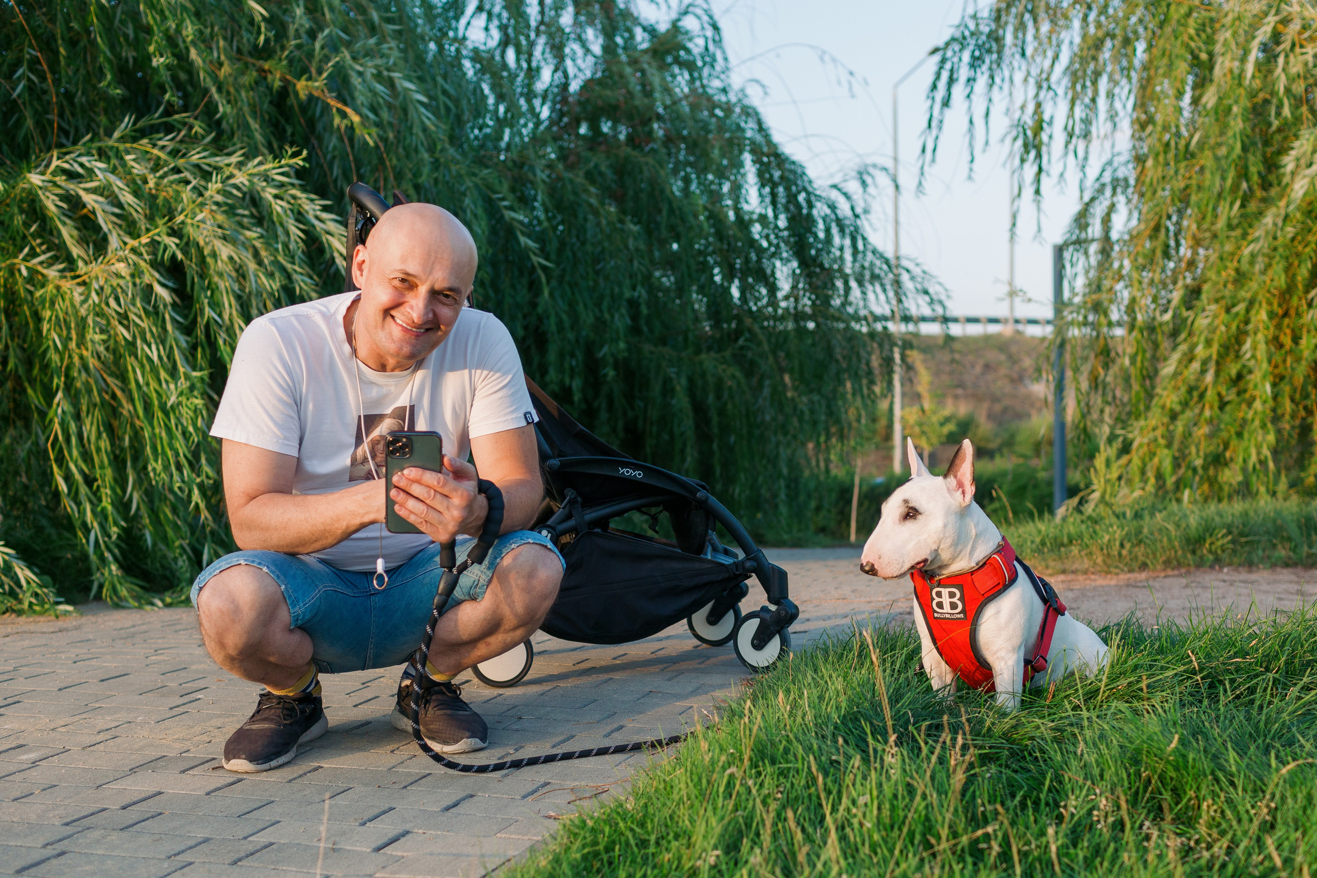 Dog Fest 2024. Главная